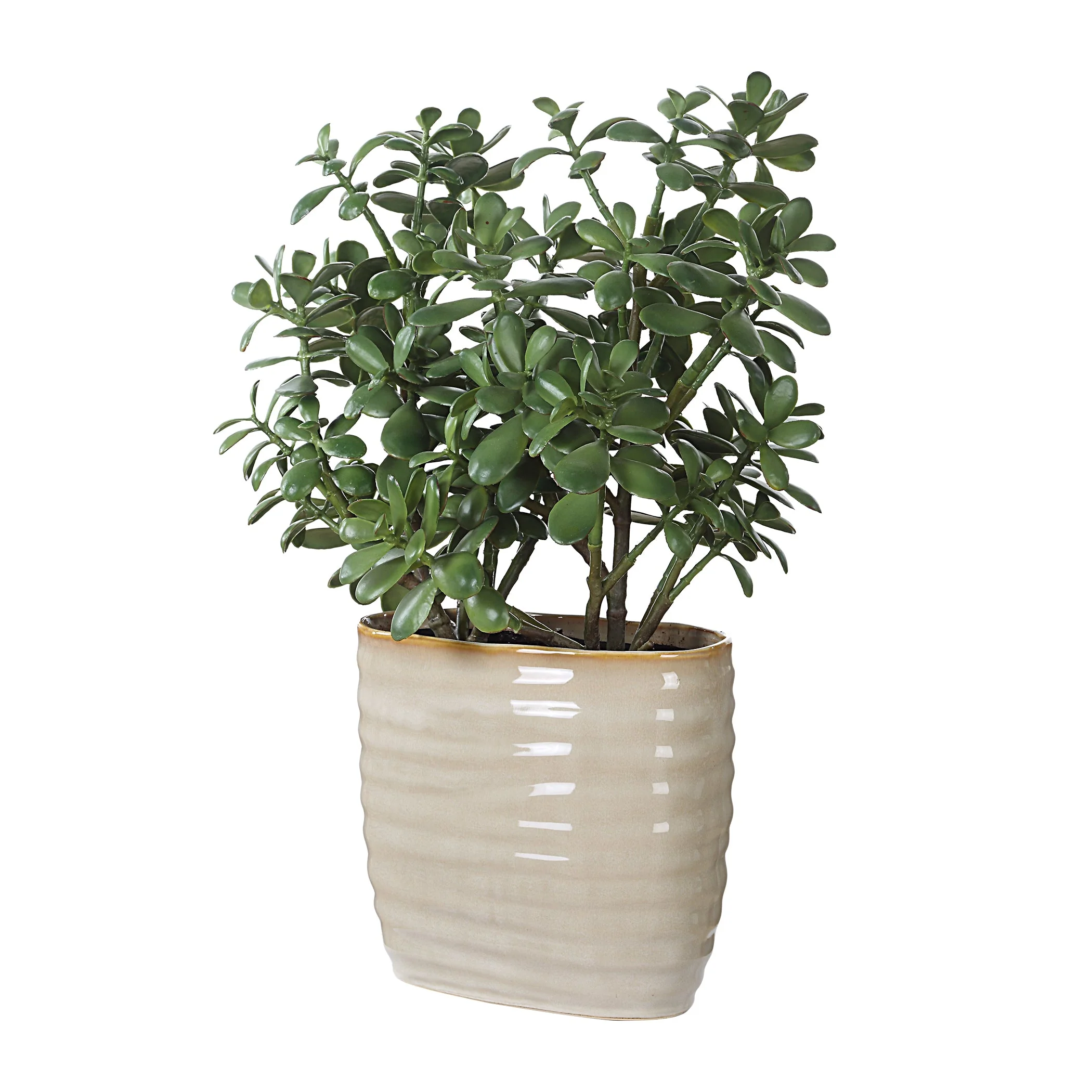Uttermost Crassula Jade Accent Plant - Image 3