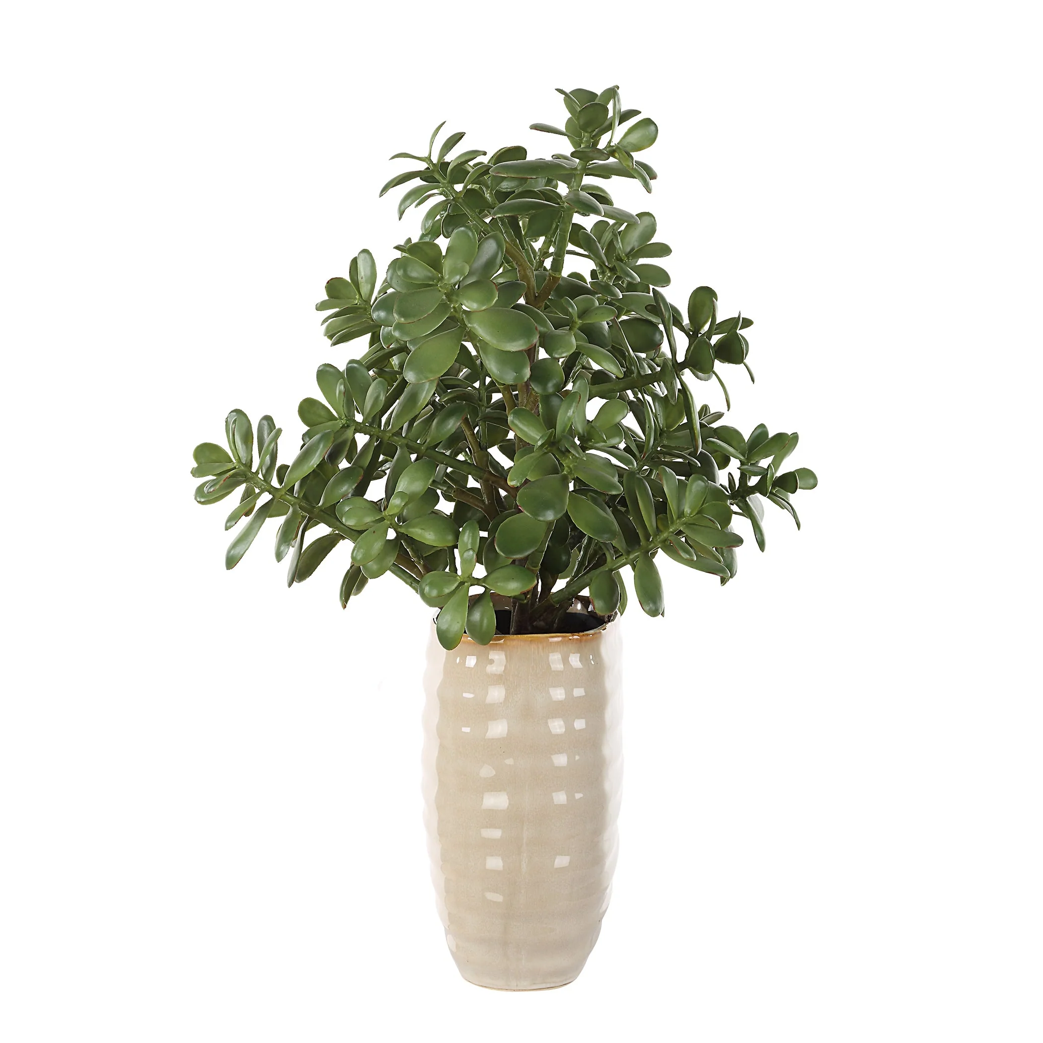 Uttermost Crassula Jade Accent Plant - Image 4