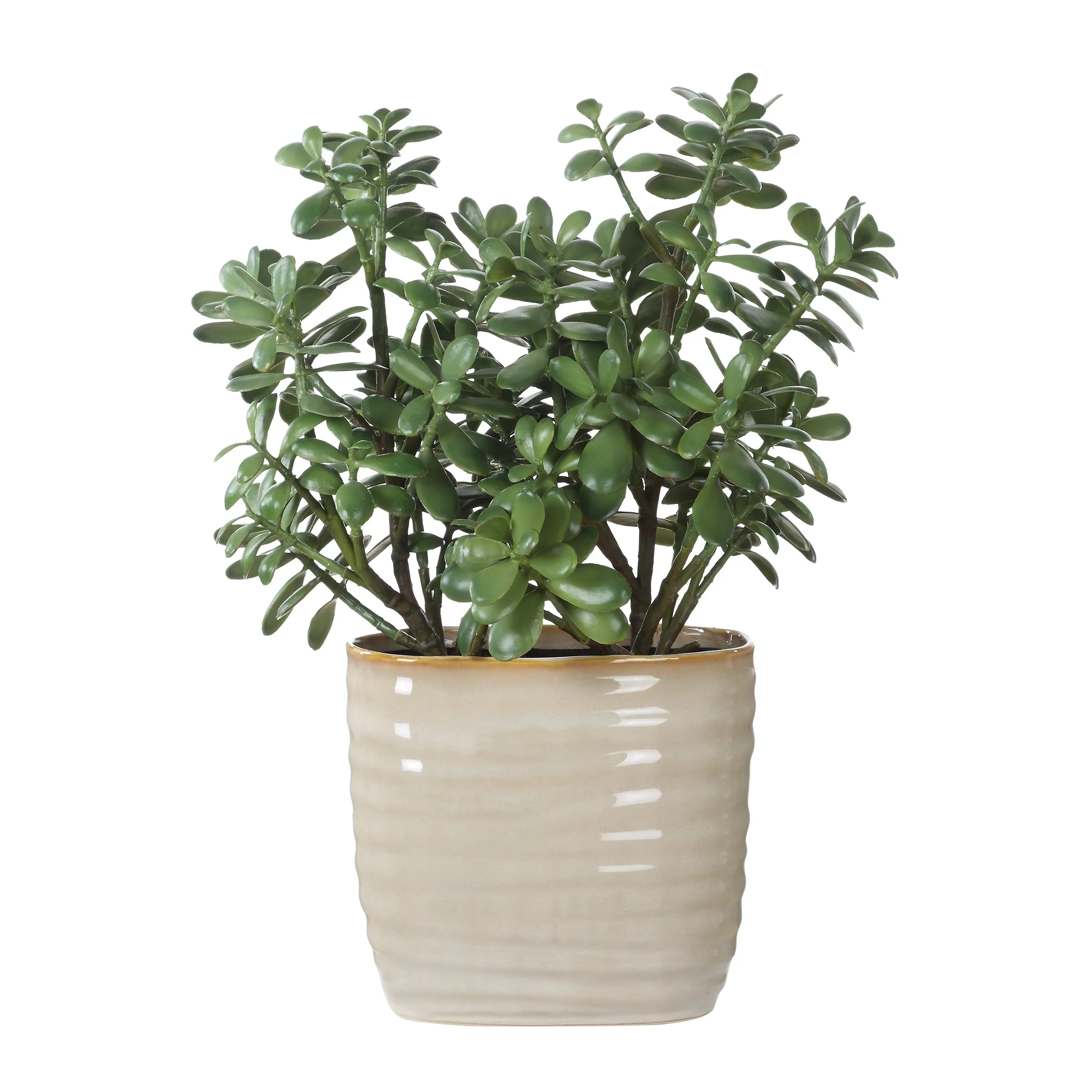 Uttermost Crassula Jade Accent Plant - Image 5