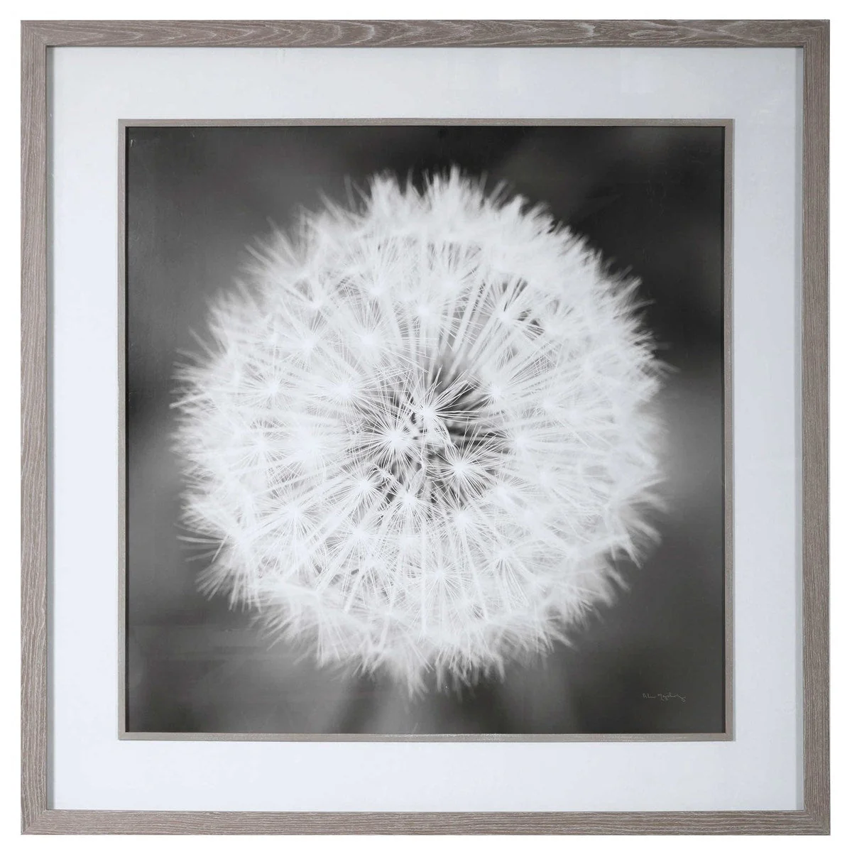 Uttermost Dandelion Seedhead Framed Print - Image 2