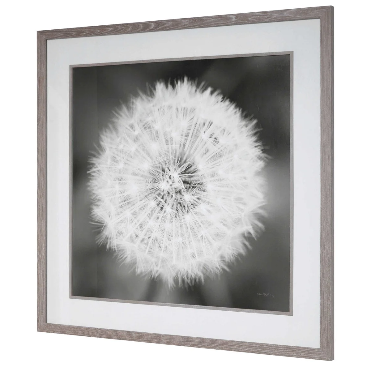 Uttermost Dandelion Seedhead Framed Print - Image 5
