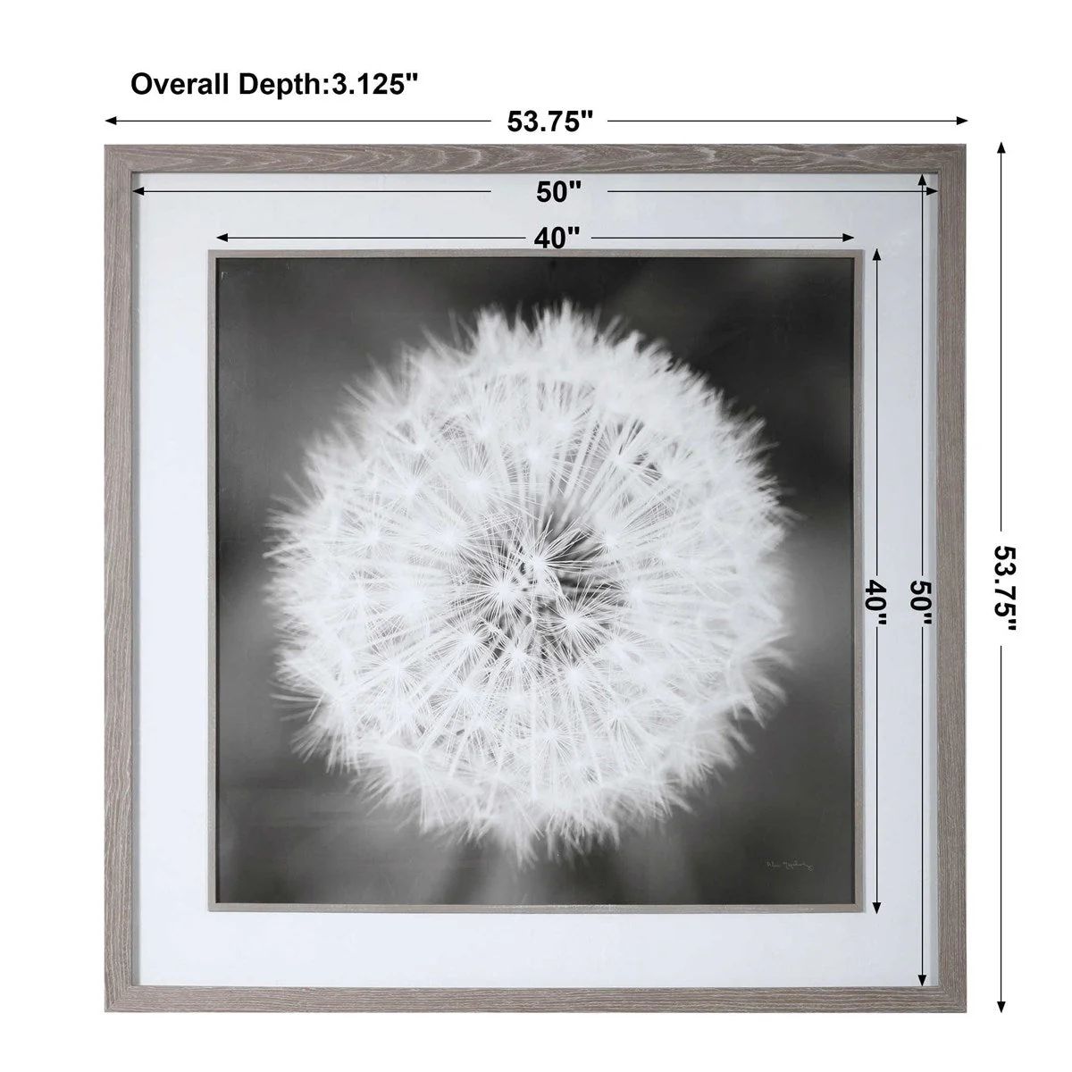 Uttermost Dandelion Seedhead Framed Print - Image 8