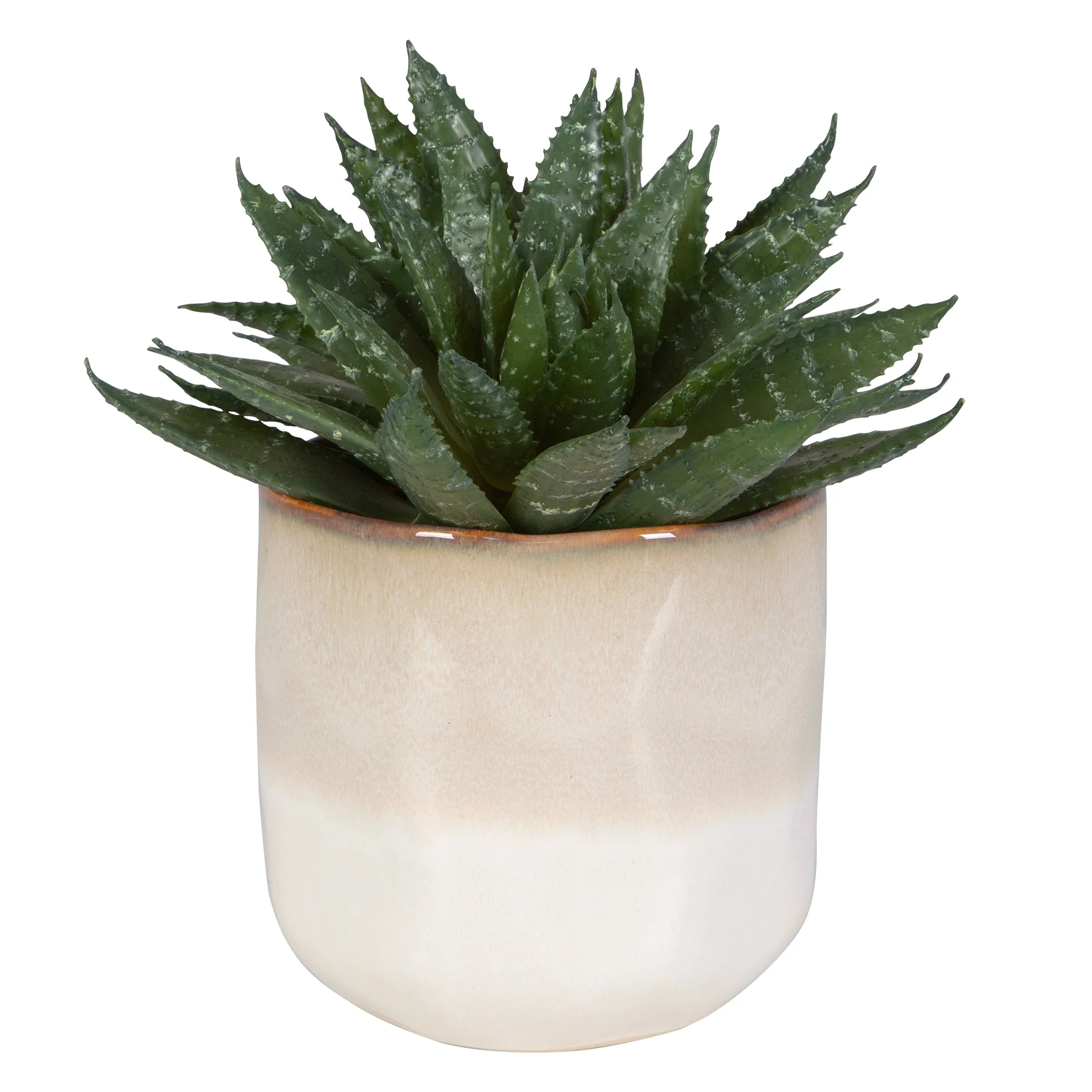 Uttermost Doha Succulent Accent - Image 3