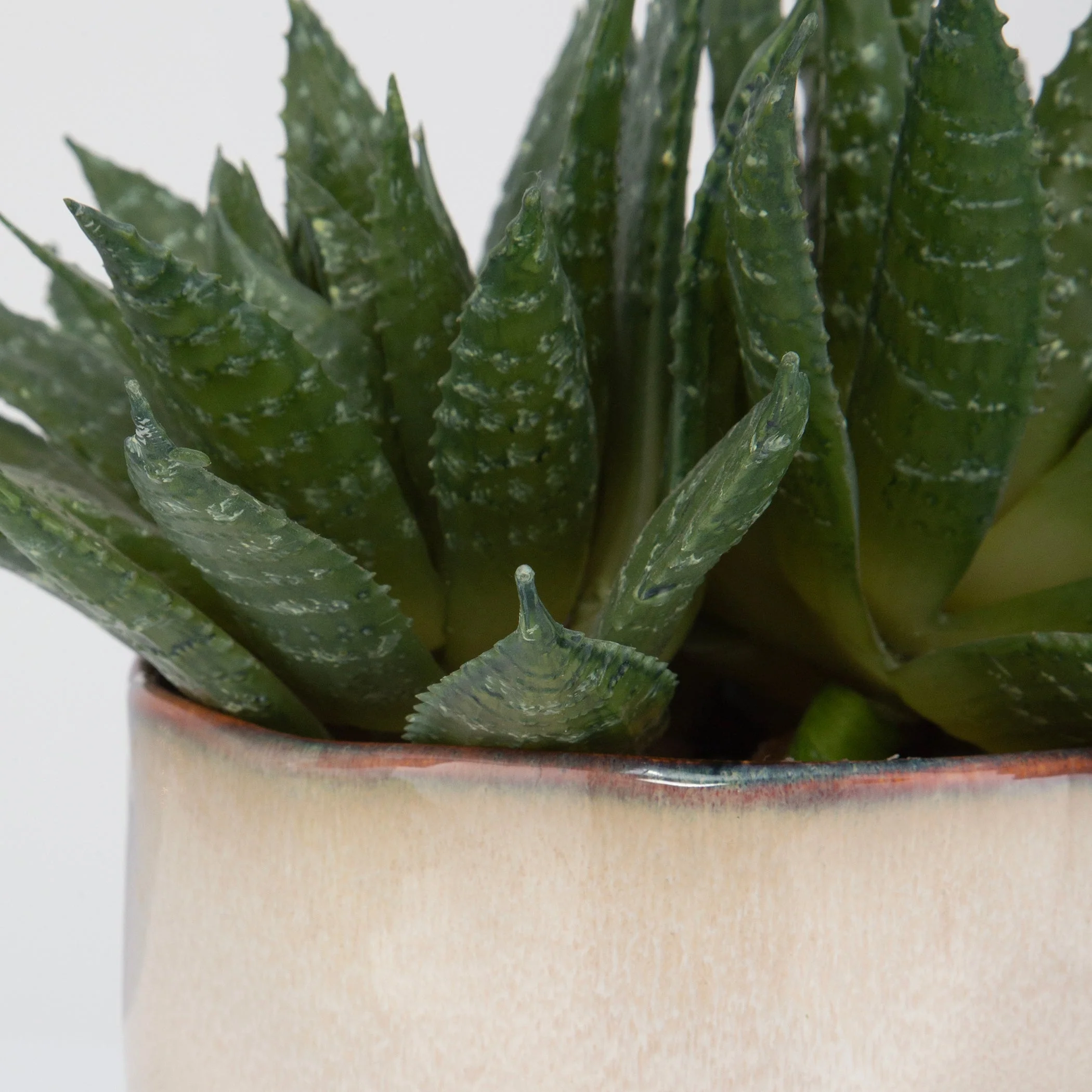 Uttermost Doha Succulent Accent - Image 4