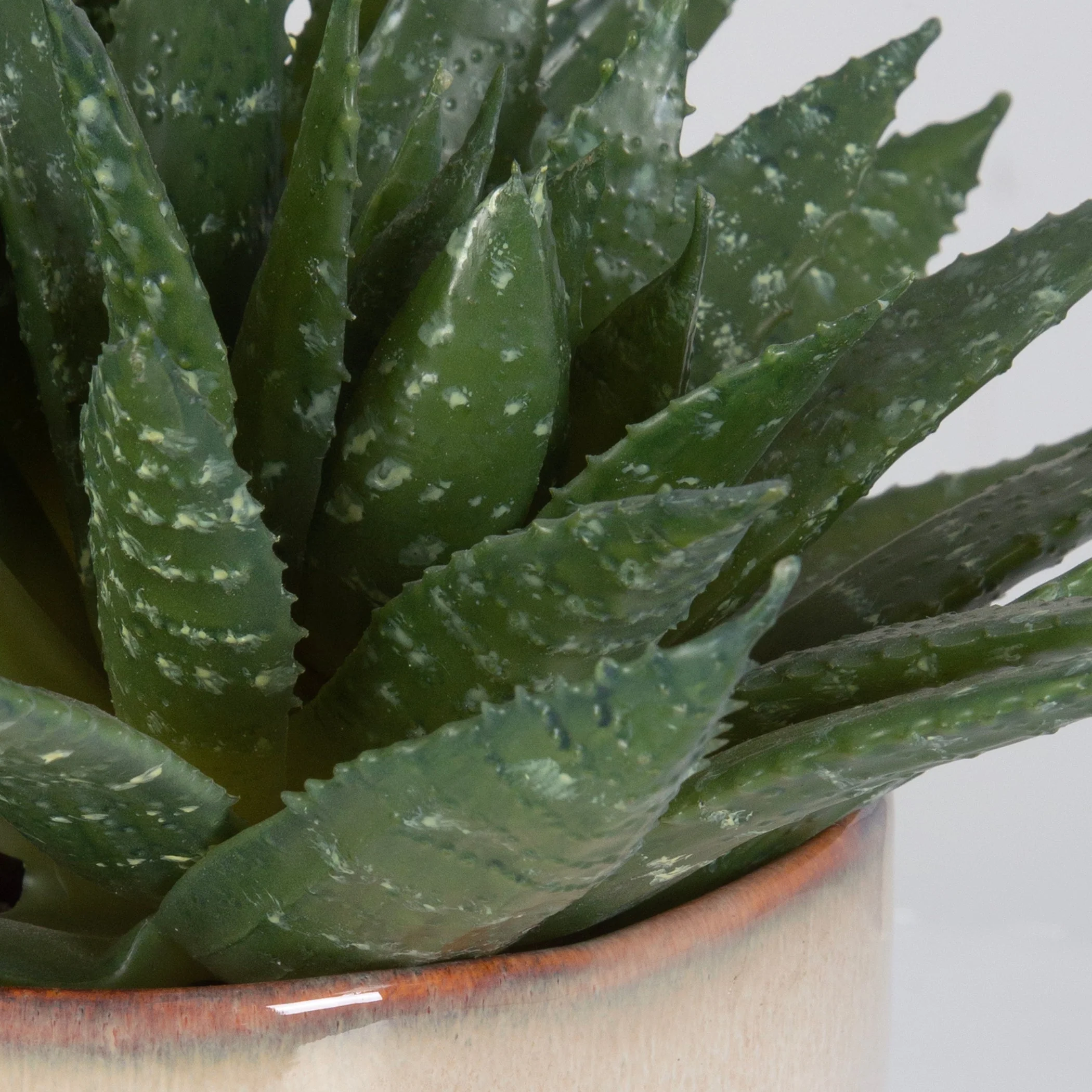 Uttermost Doha Succulent Accent - Image 5