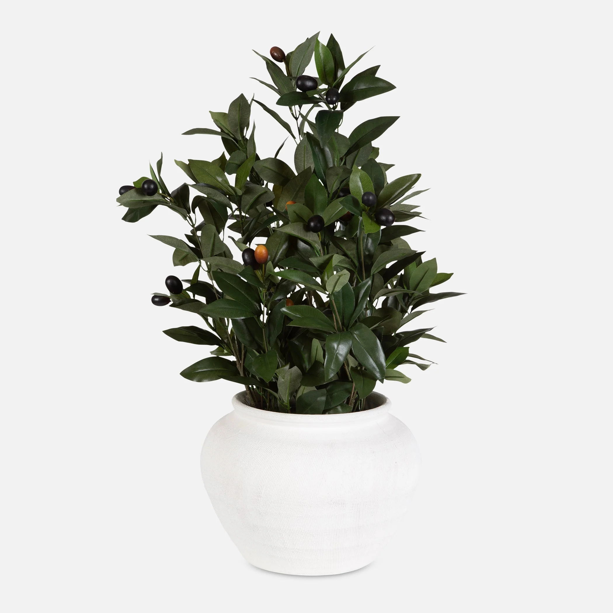 Uttermost Elena Olive Centerpiece - Image 2