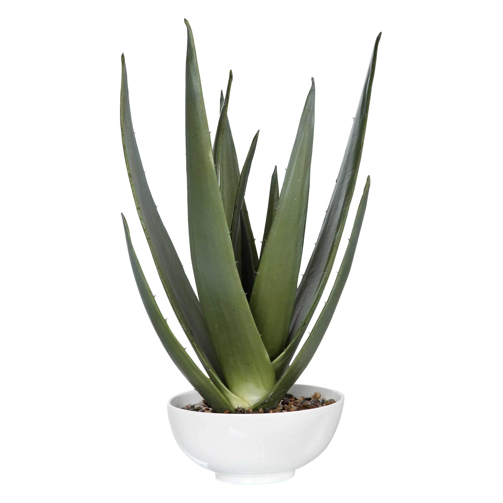 Uttermost Evarado Aloe Planter - Image 2