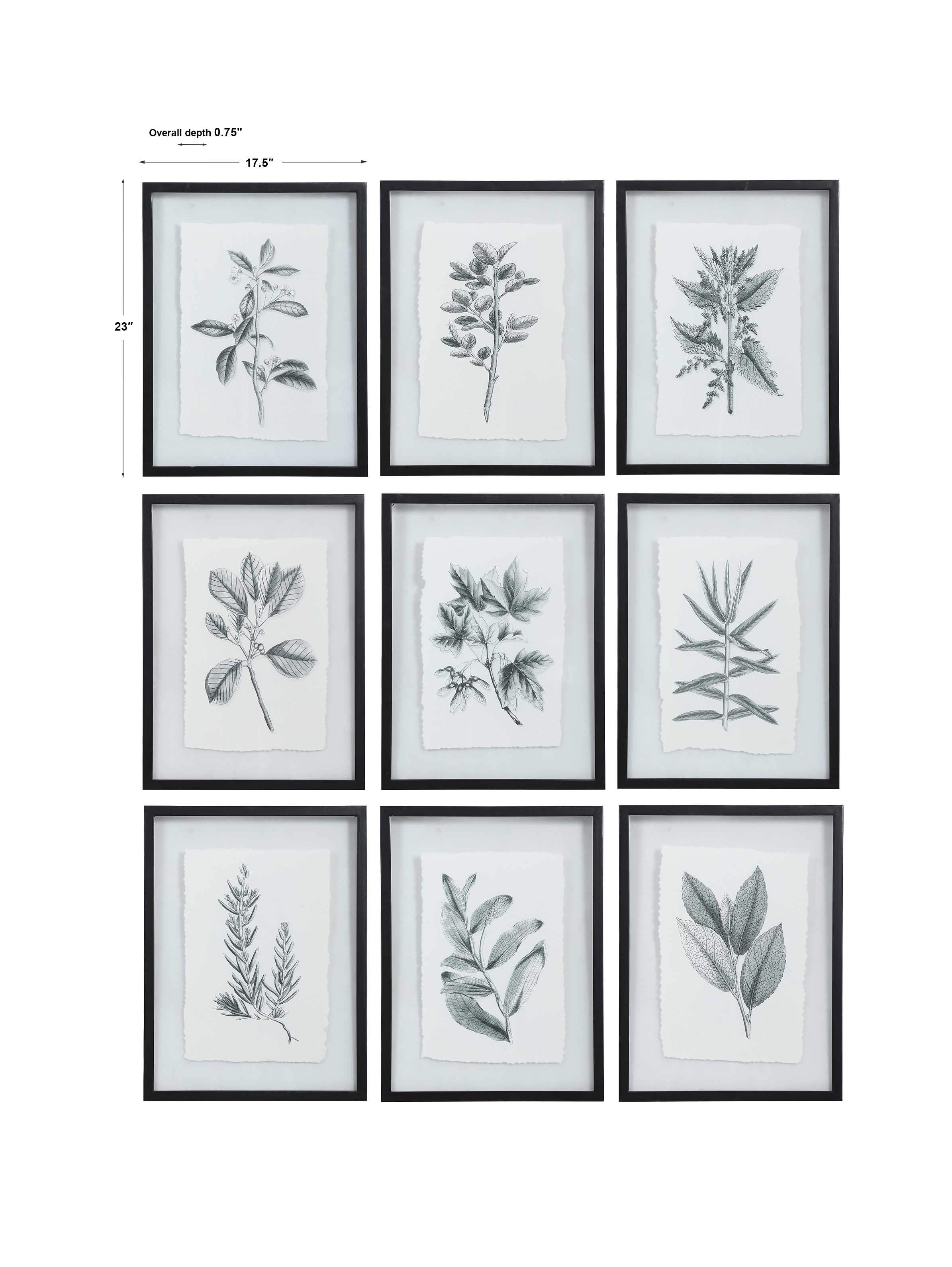 Uttermost Farmhouse Florals Framed Prints, S/9 - Image 4