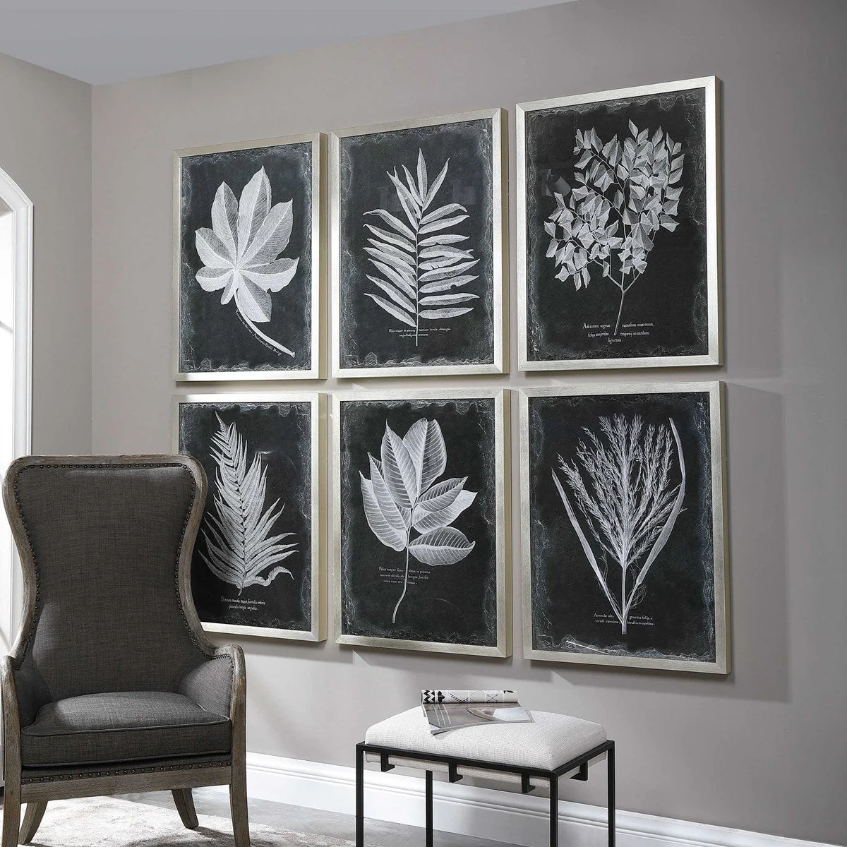 Uttermost Foliage Framed Prints, S/6 - Image 3