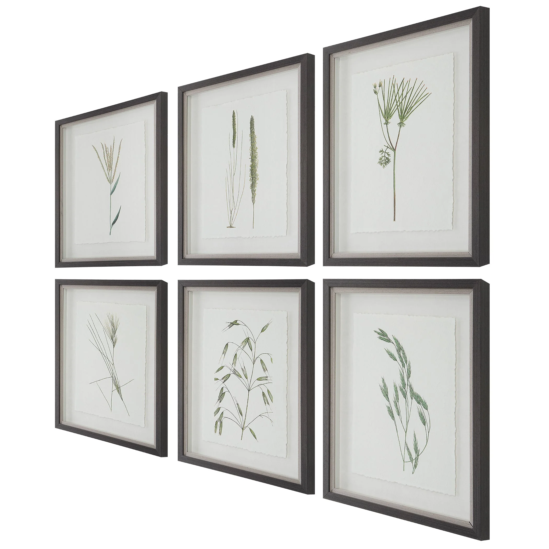 Uttermost Forest Finds Framed Prints, S/6 - Image 6