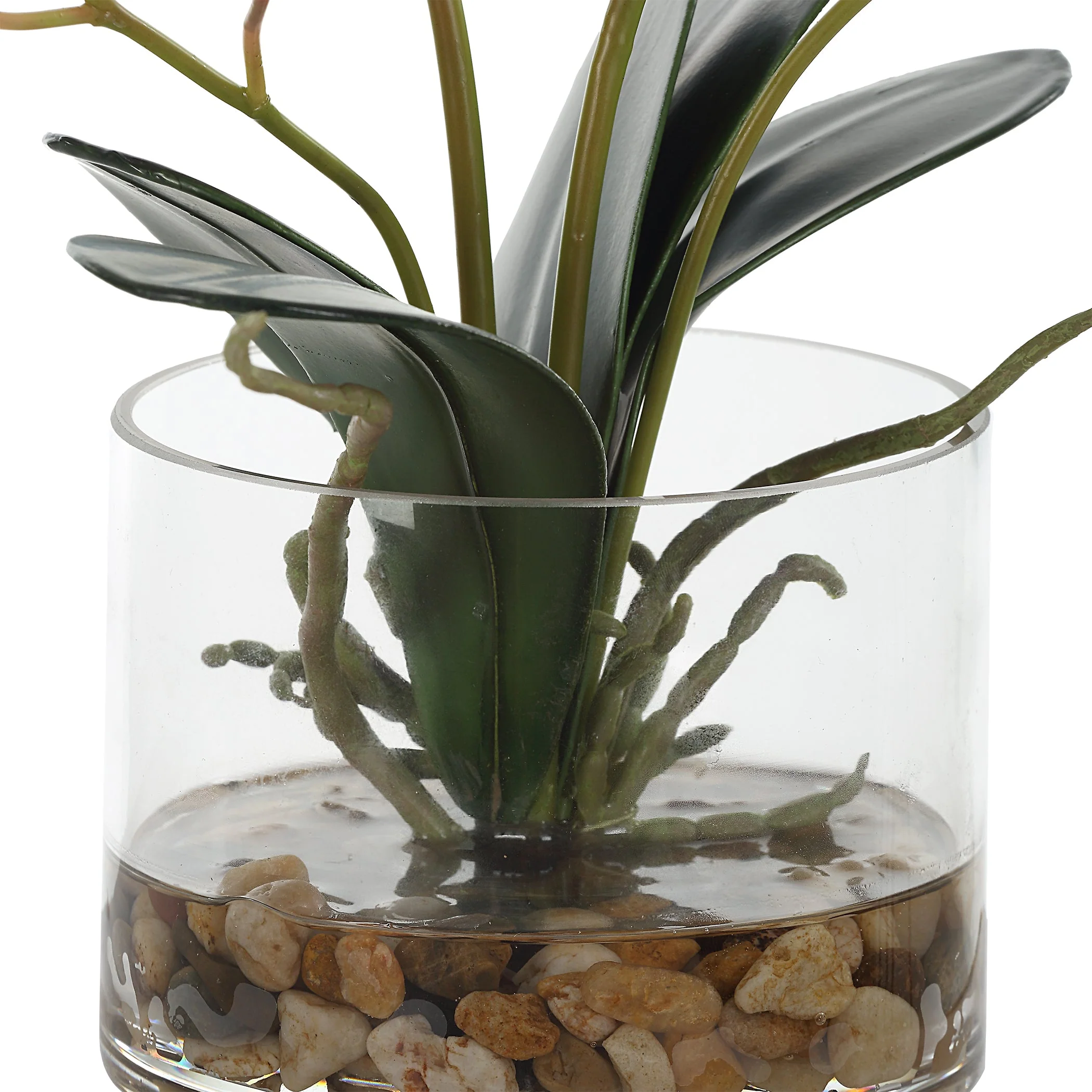 Uttermost Glory Fuchsia Orchid - Image 6