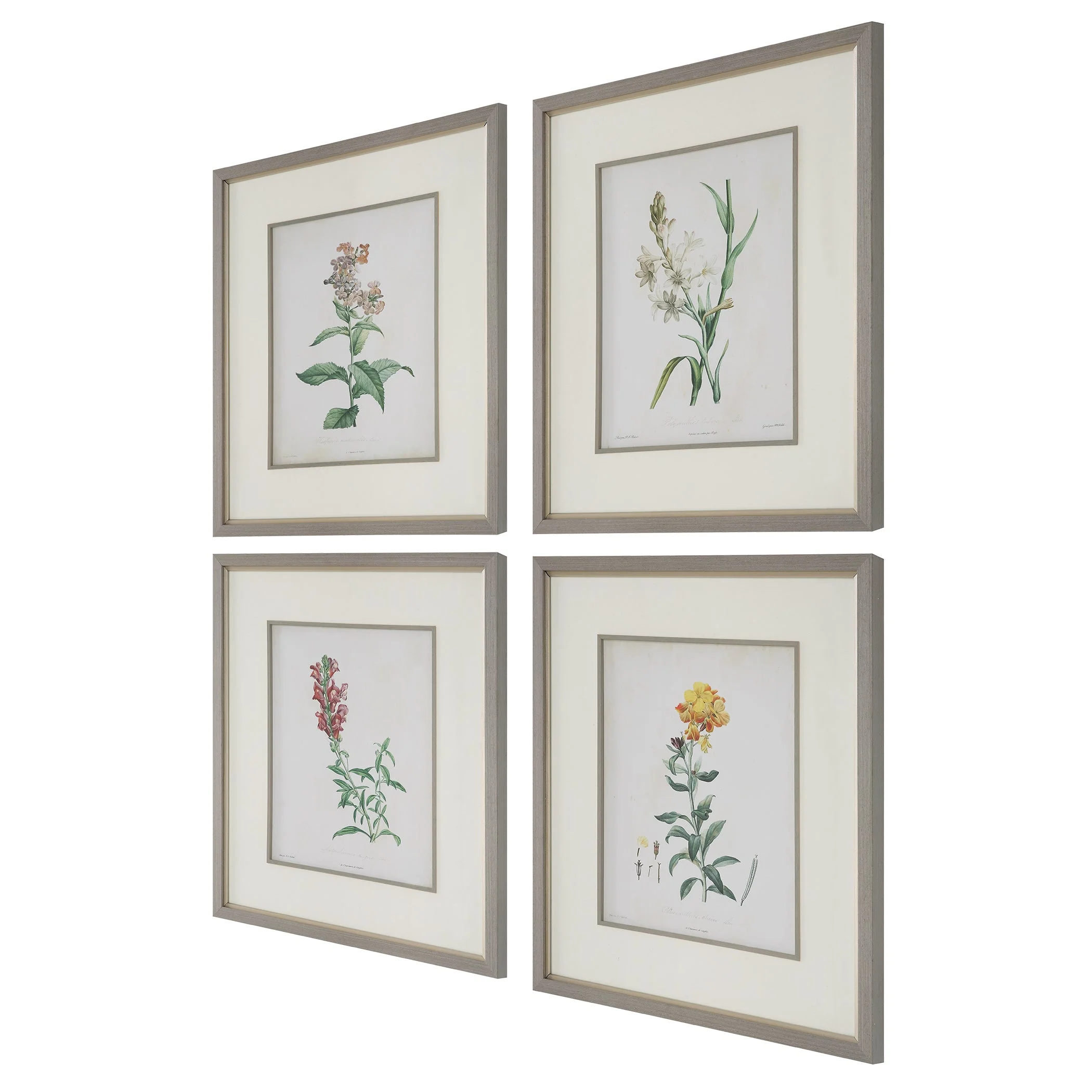 Uttermost Heirloom Blooms Study Framed Prints Set/4 - CLOSEOUT - Image 4