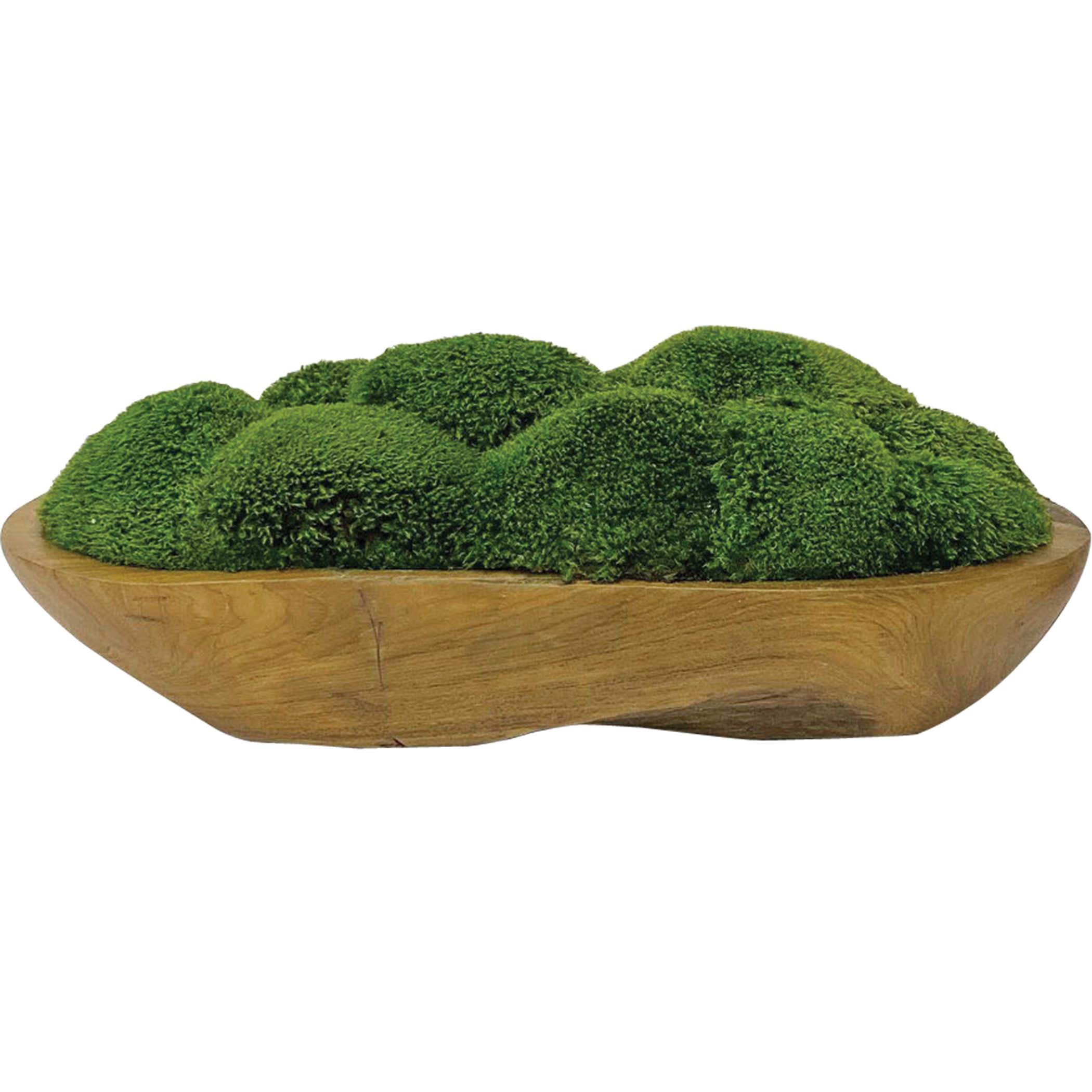 Uttermost Kinsale Moss Centerpiece - Image 2