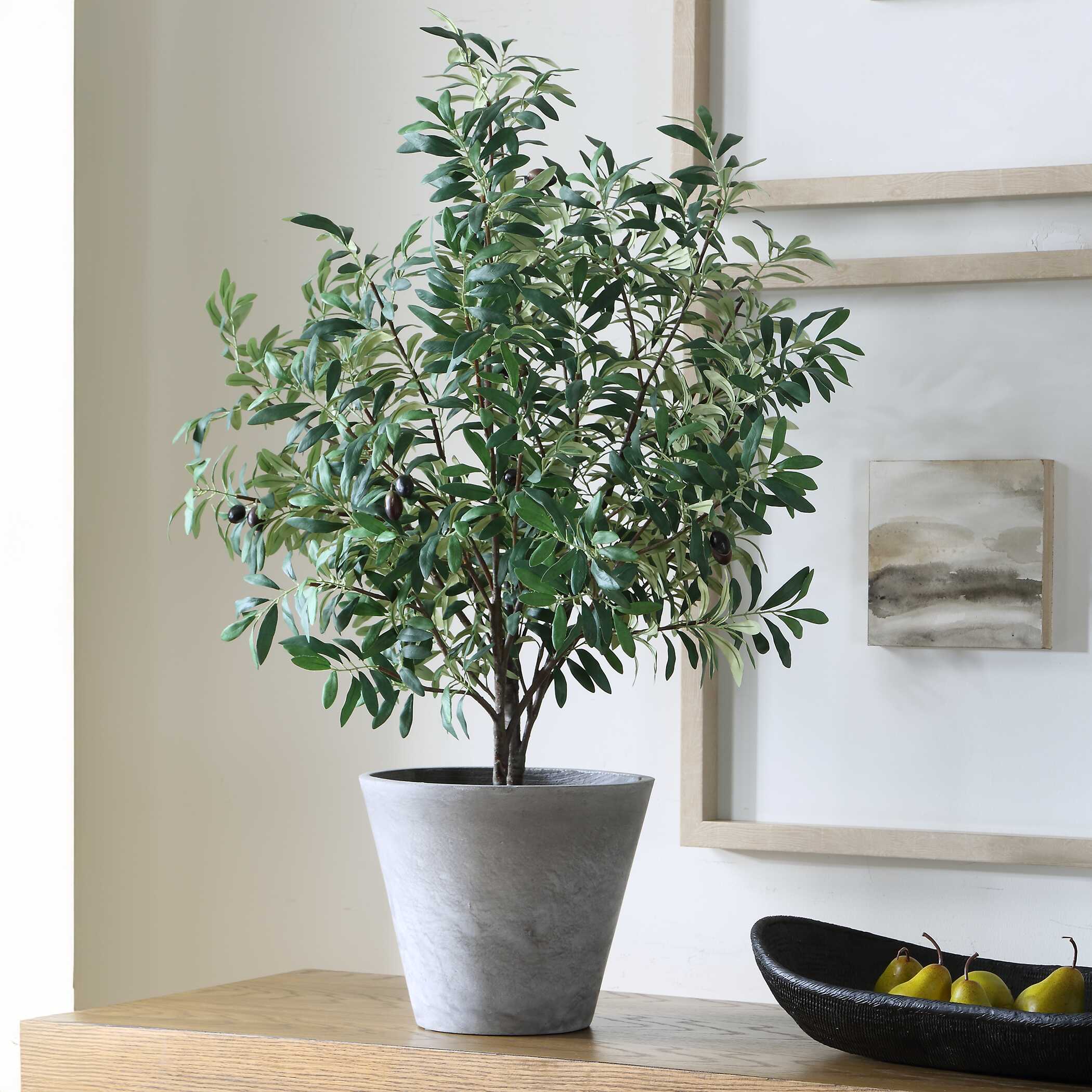 Uttermost Marisol Potted Olive Plant - Image 3