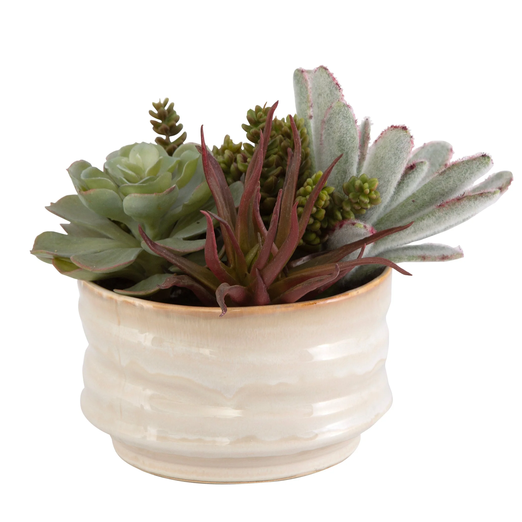 Uttermost Mesa Succulent Accent - Image 4