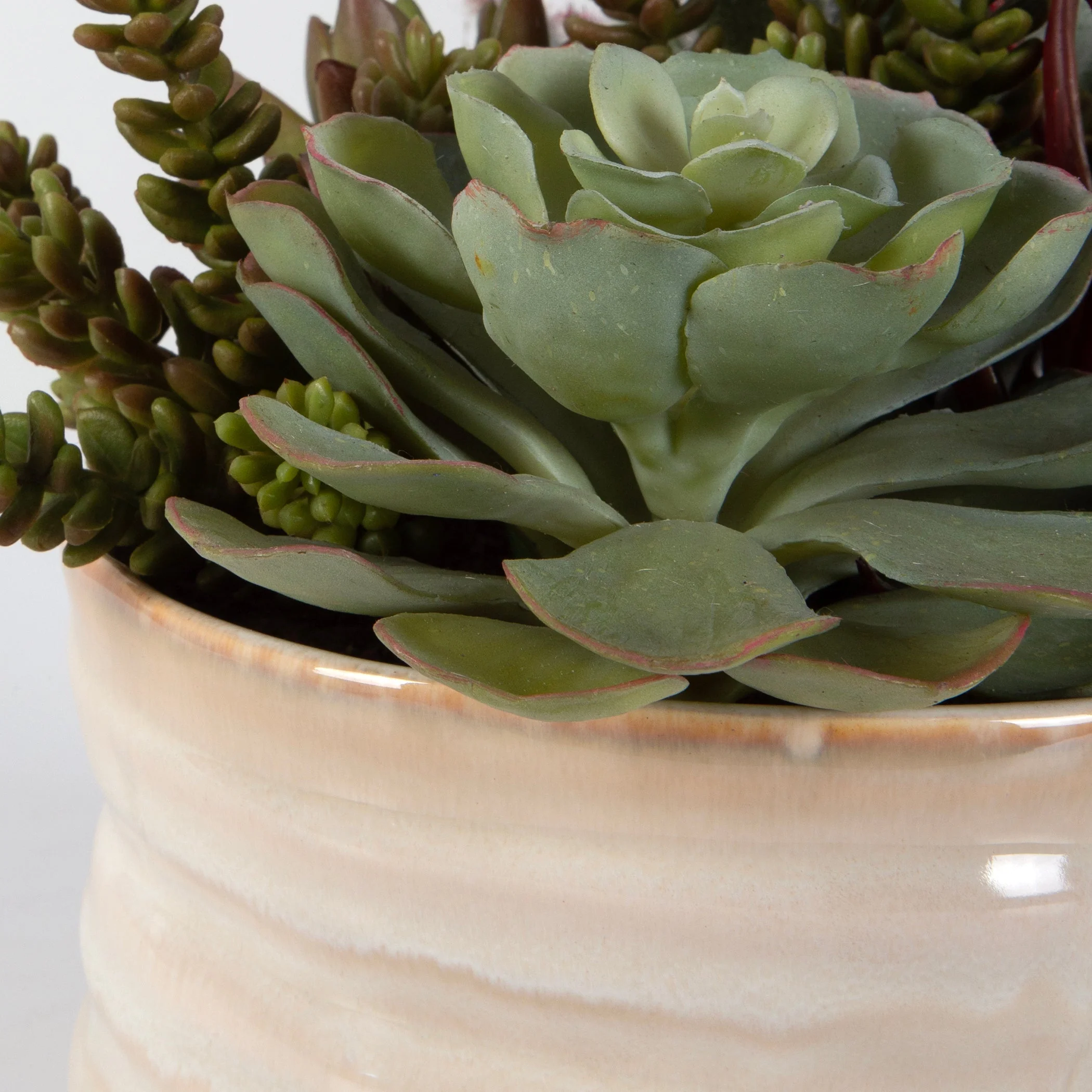 Uttermost Mesa Succulent Accent - Image 5