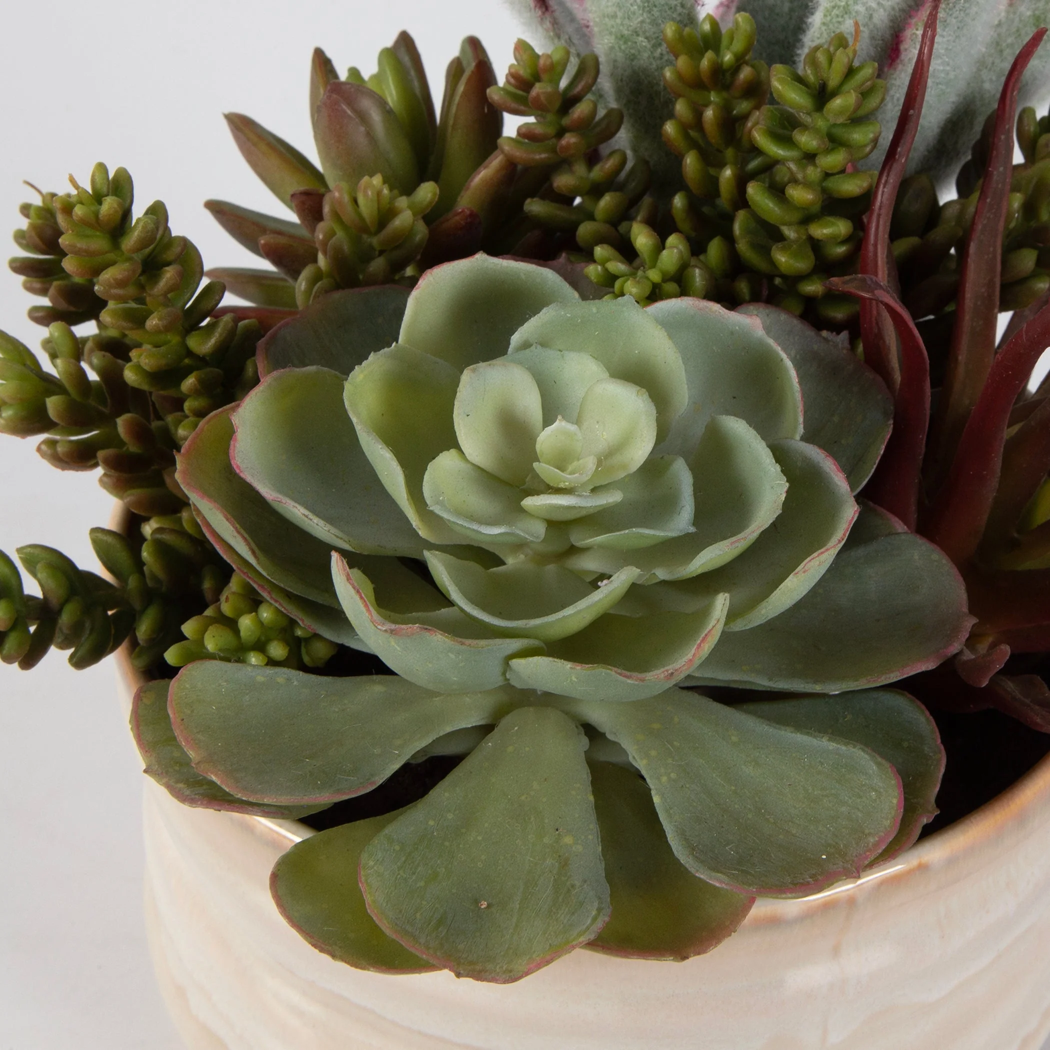 Uttermost Mesa Succulent Accent - Image 6