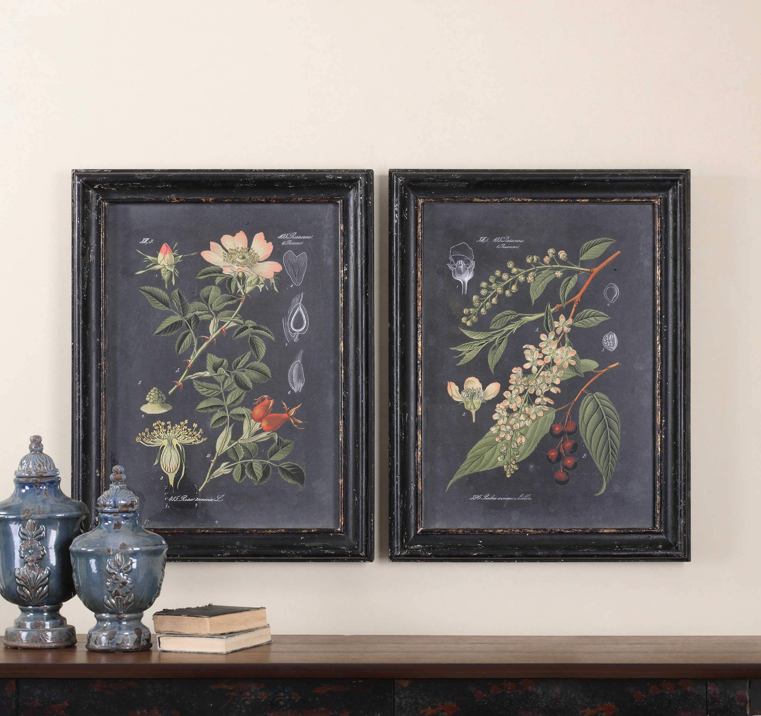 Uttermost Midnight Botanicals Framed Prints, S/2