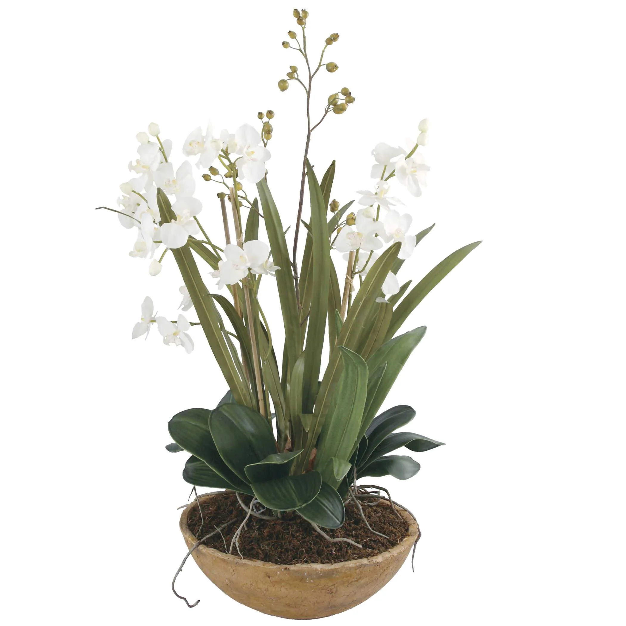 Uttermost Moth Orchid Planter - Image 2