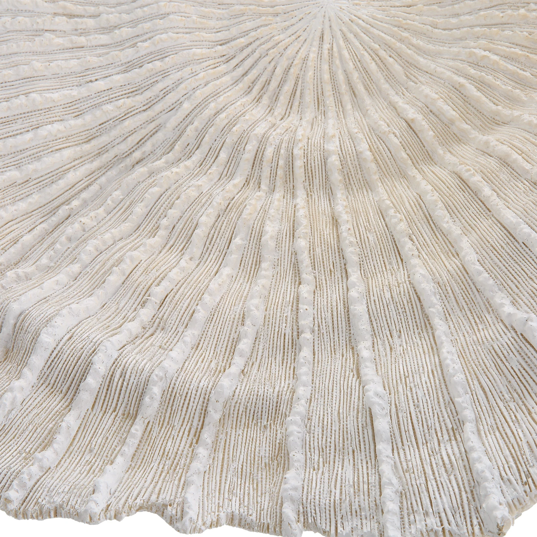 Uttermost Ocean Gems Coral Wall Decor, Set/3 - Image 5