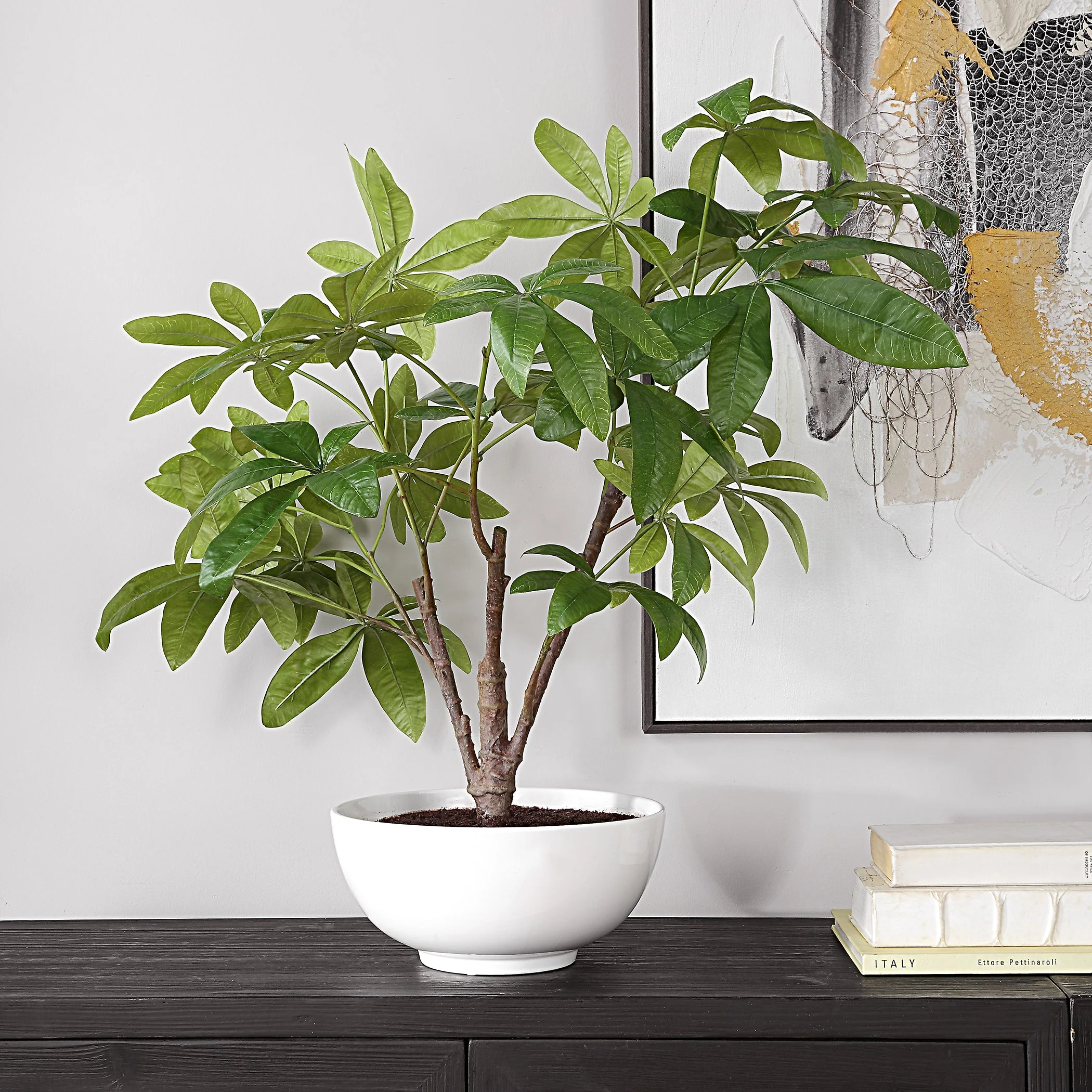 Uttermost Pachira Money Tree - Image 3