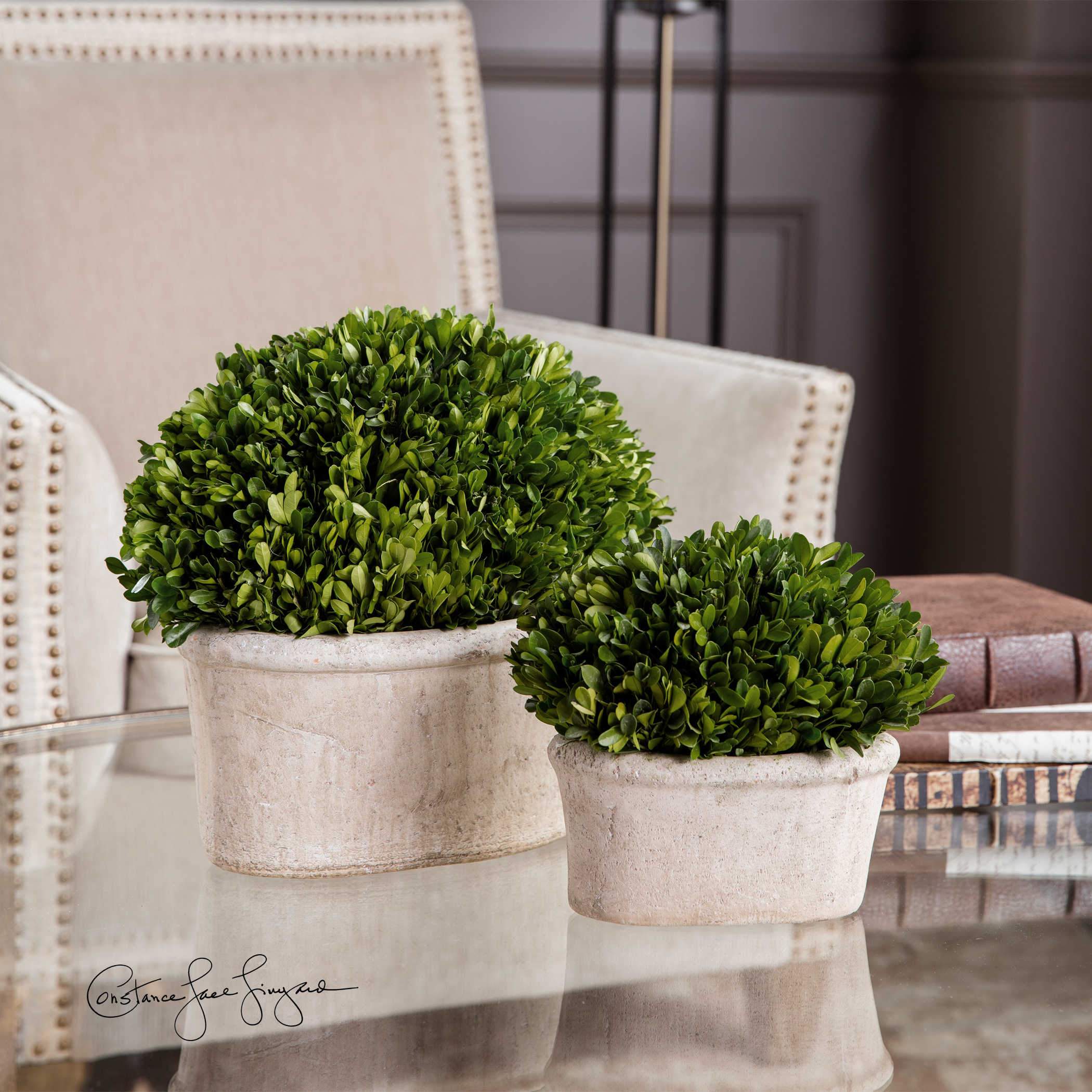 Uttermost Preserved Boxwood Oval Domes, S/2