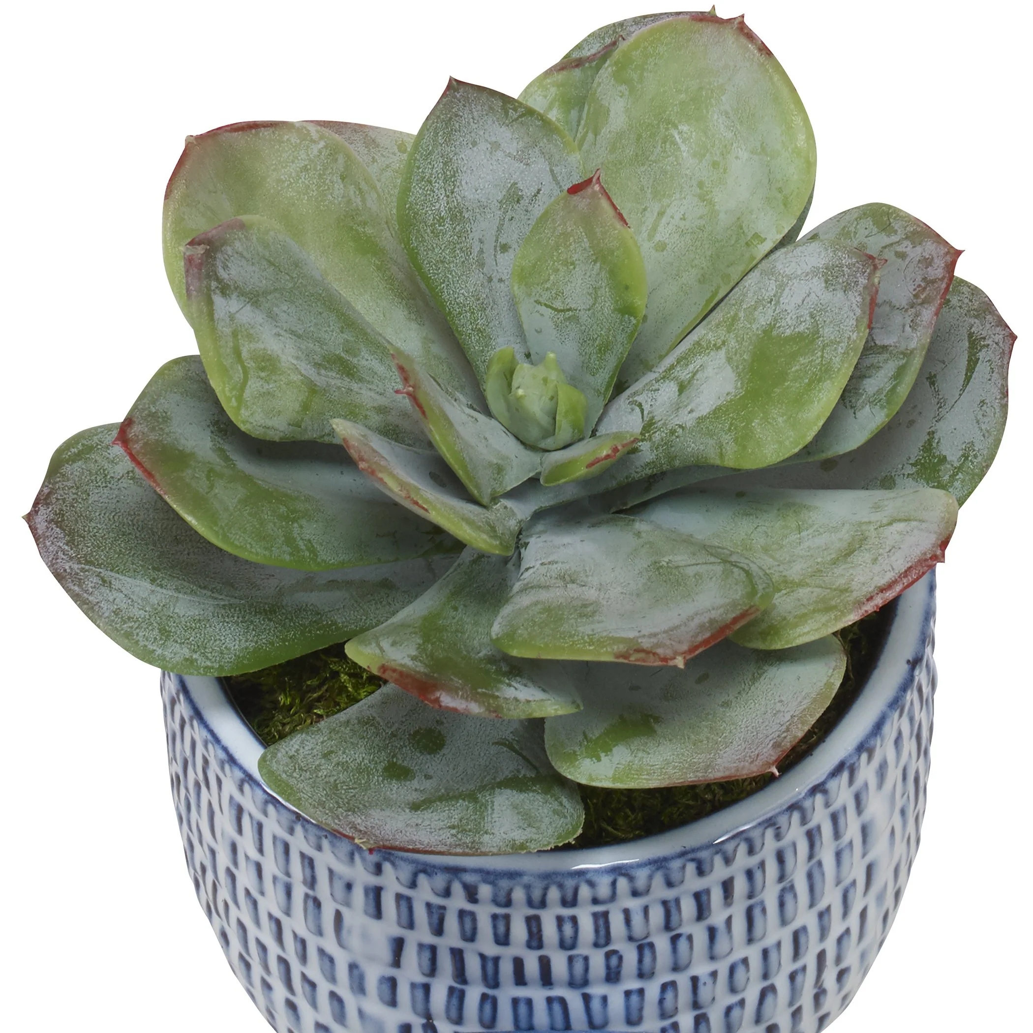 Uttermost Puebla Greenery In Blue & White Pots, S/3 - Image 3