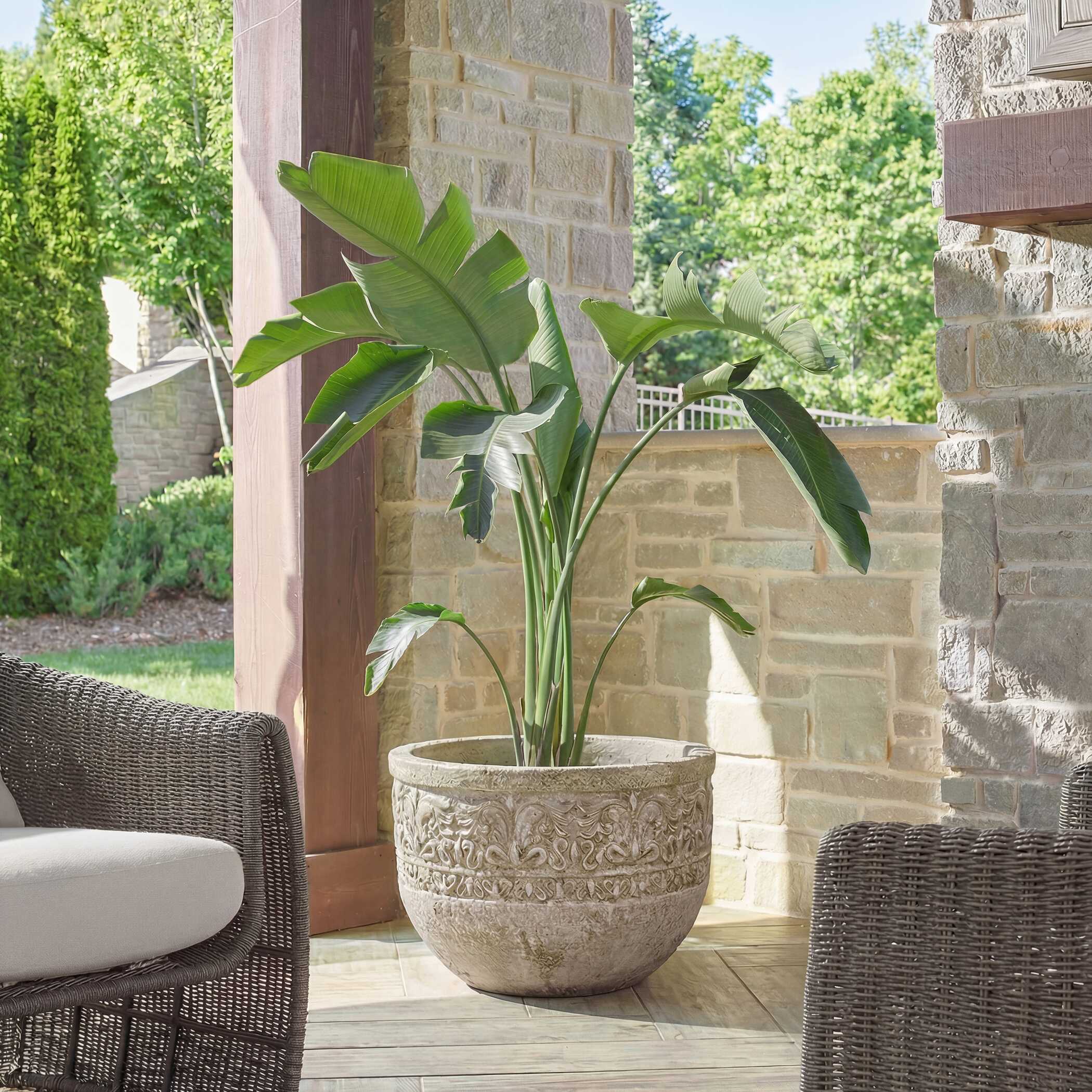 Uttermost Regalia Indoor-Outdoor Stone Planter - Image 2