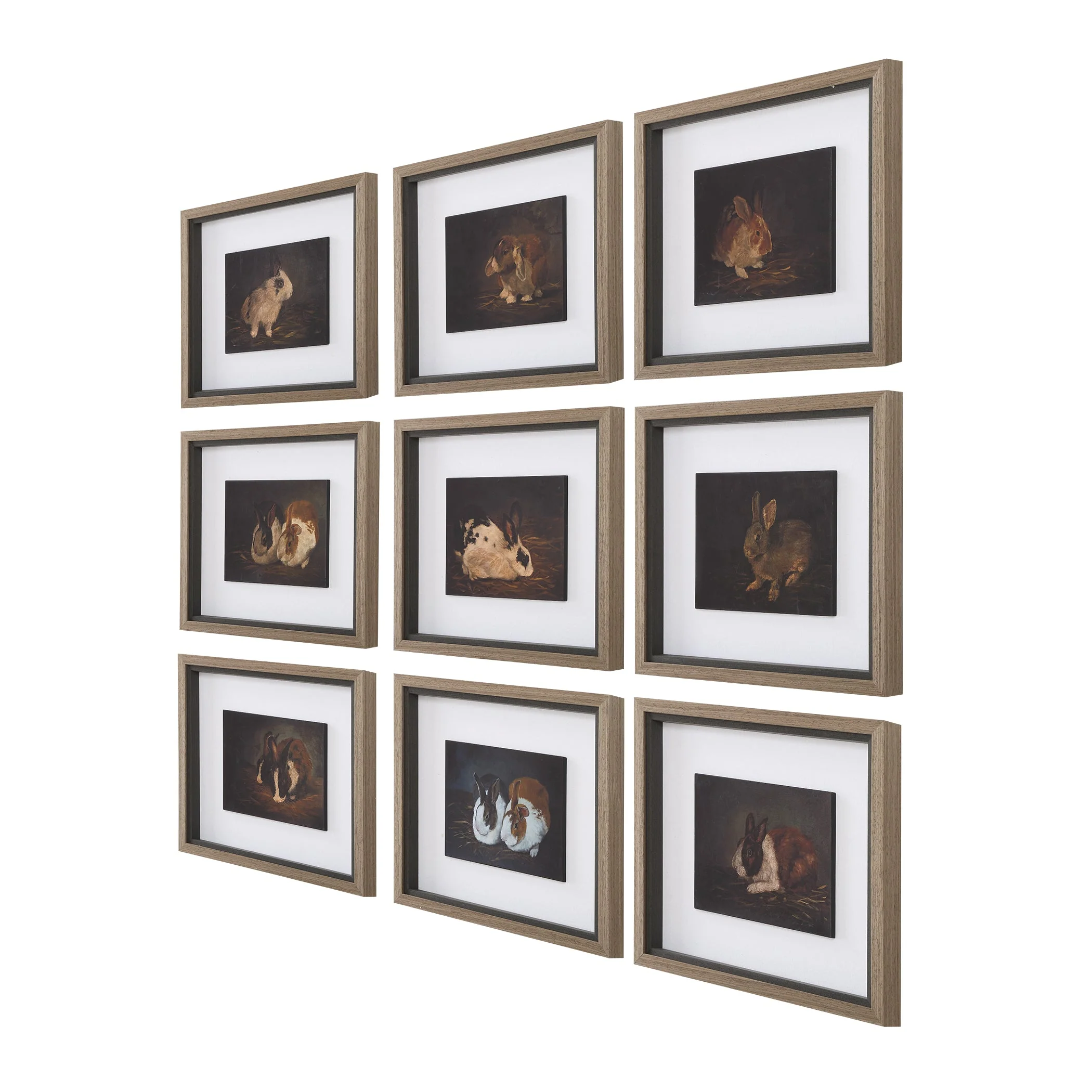 Uttermost Resting Bunny Framed Prints Set/9 - Image 4