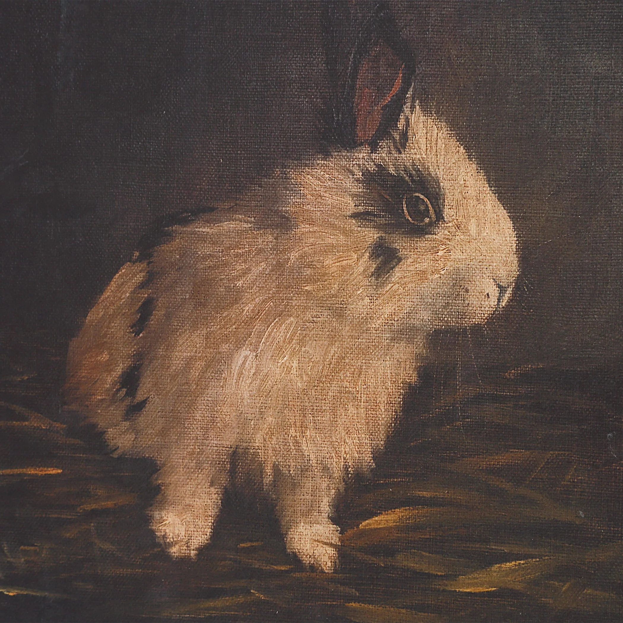Uttermost Resting Bunny Framed Prints Set/9 - Image 5