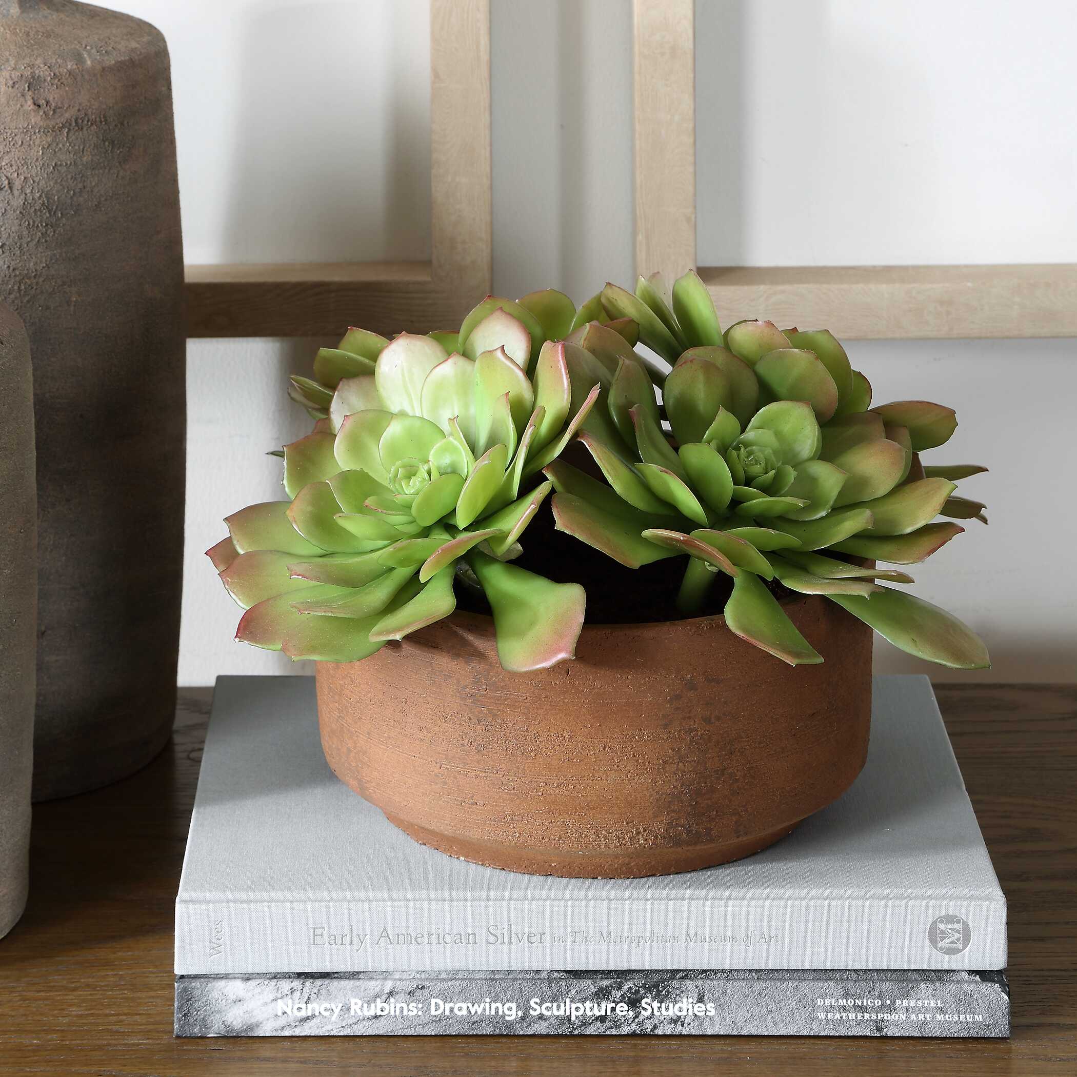 Uttermost Sable Succulent Accent In Pot - Image 3