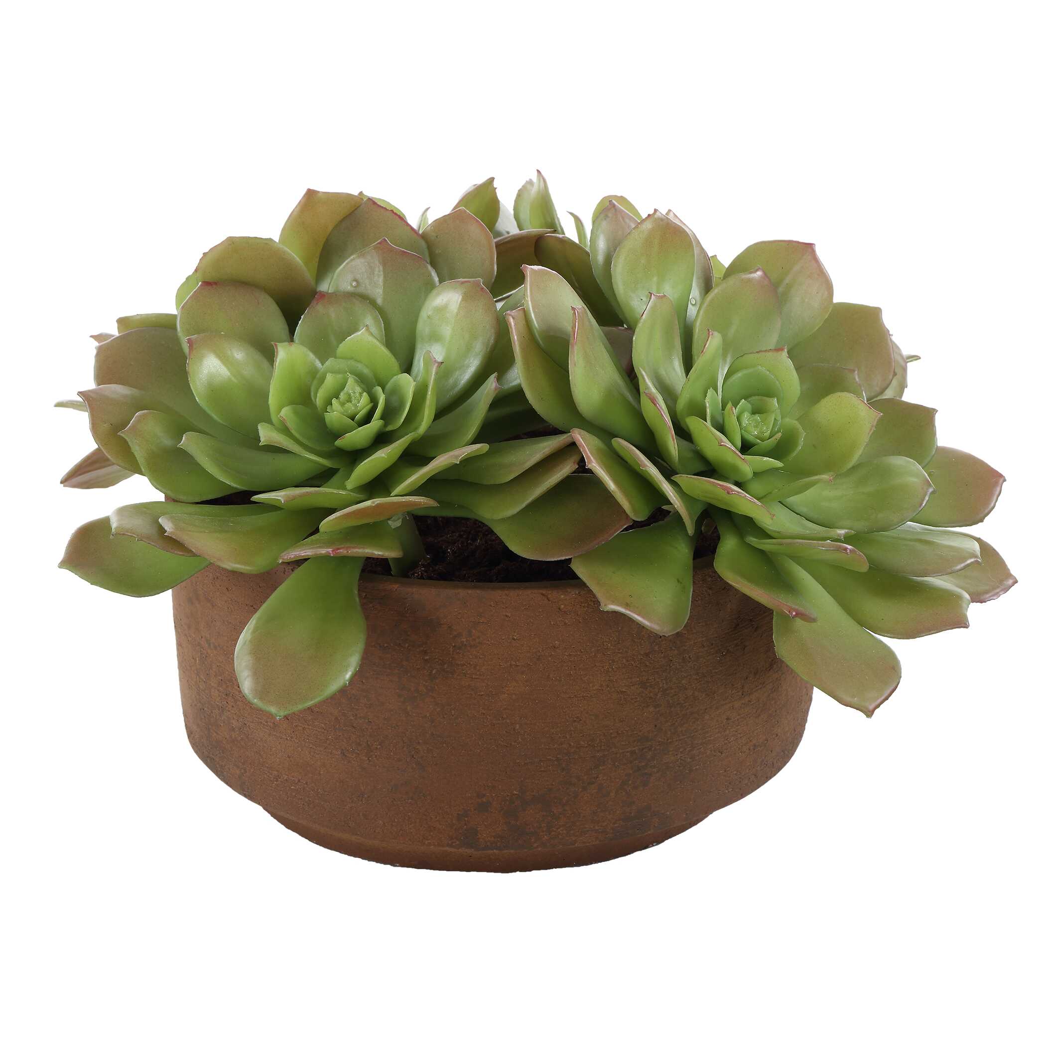 Uttermost Sable Succulent Accent In Pot - Image 4