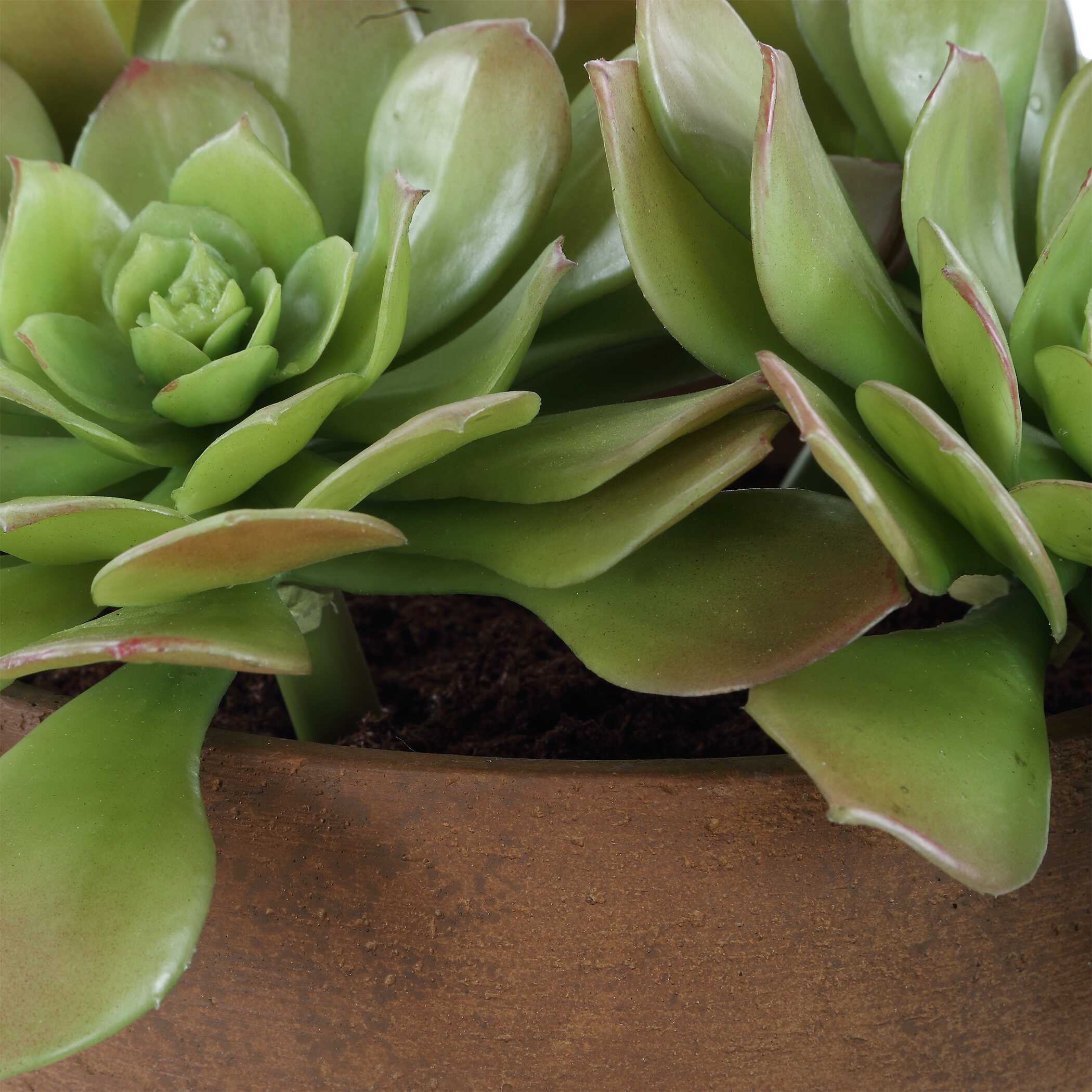 Uttermost Sable Succulent Accent In Pot - Image 7