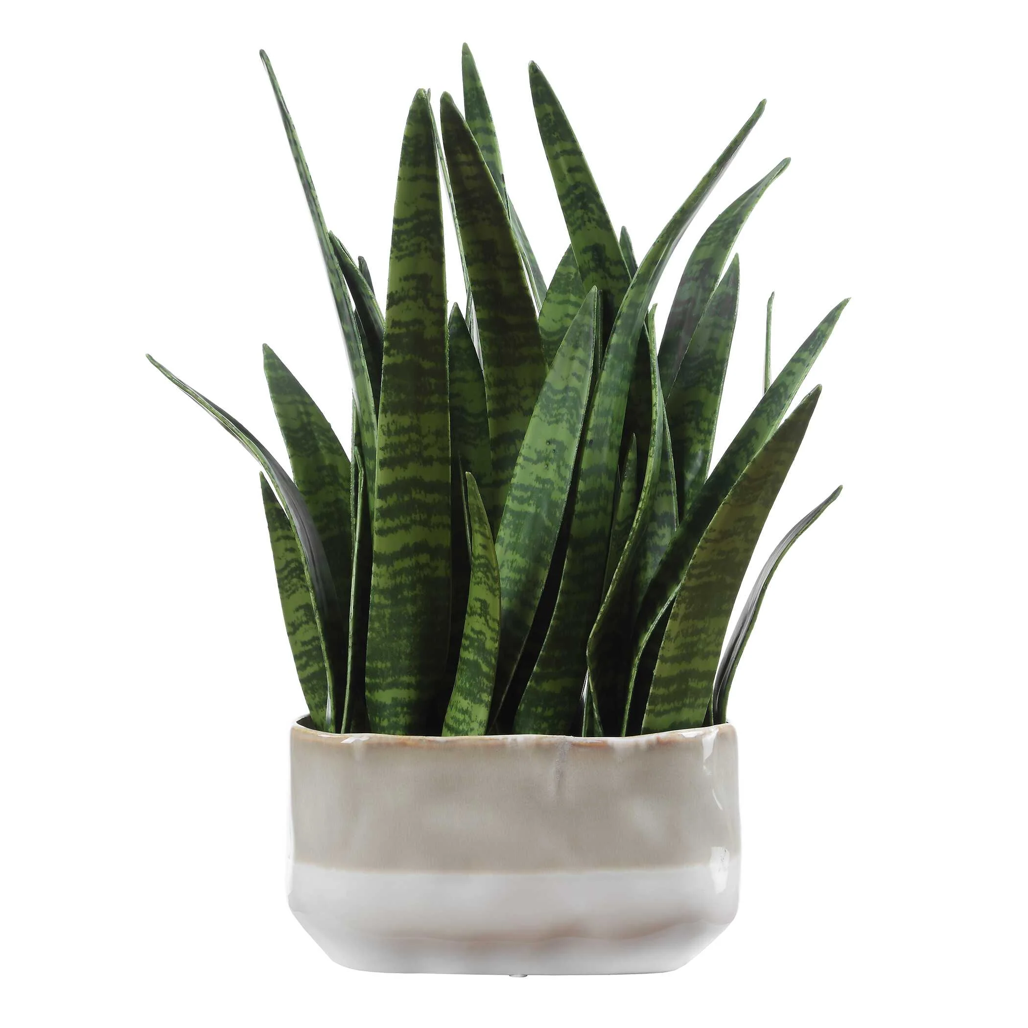Uttermost Sansera Snake Accent Plant - Image 6