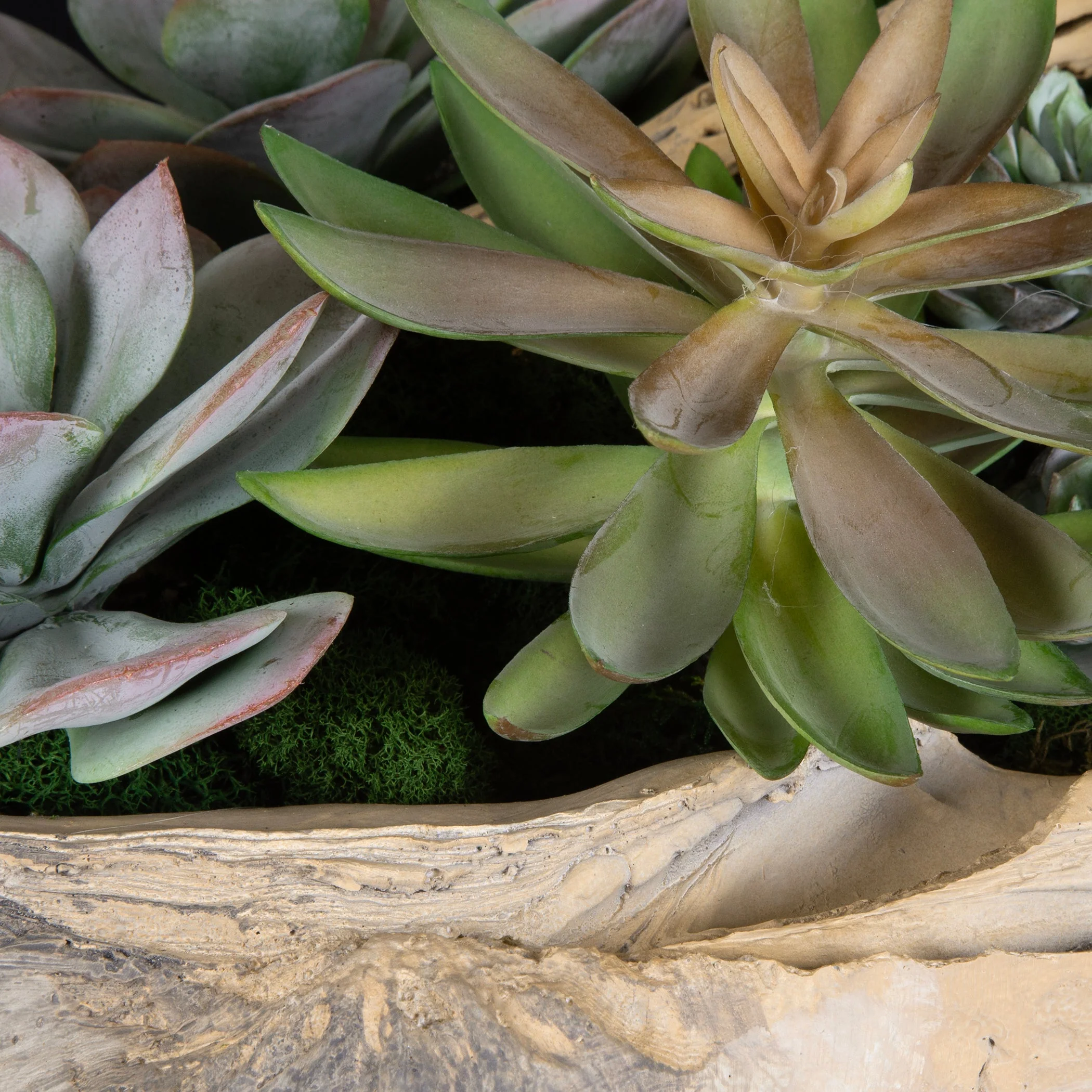 Uttermost Seaside Breeze Succulents - Image 4