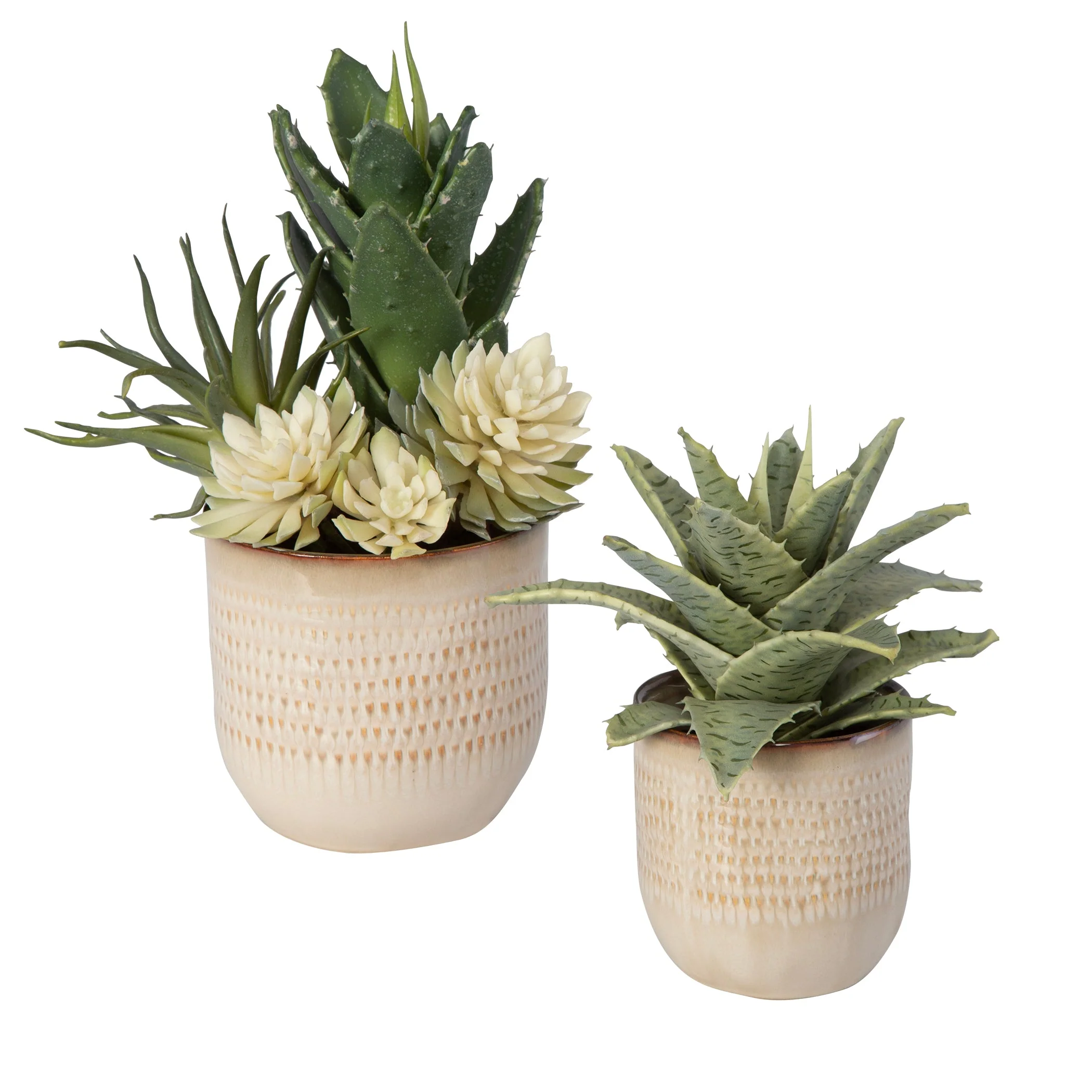 Uttermost Seaside Succulents, Set/2