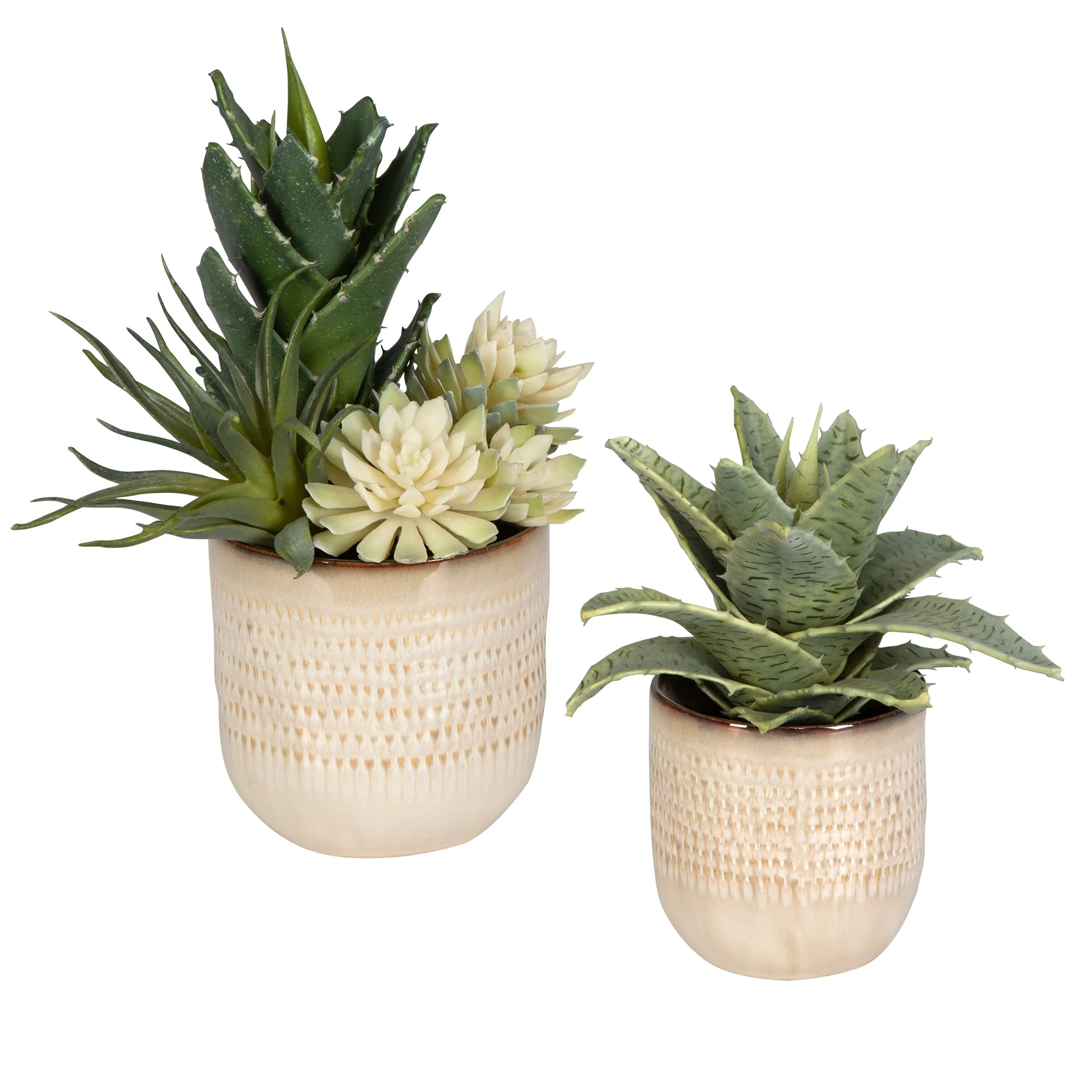 Uttermost Seaside Succulents, Set/2 - Image 3