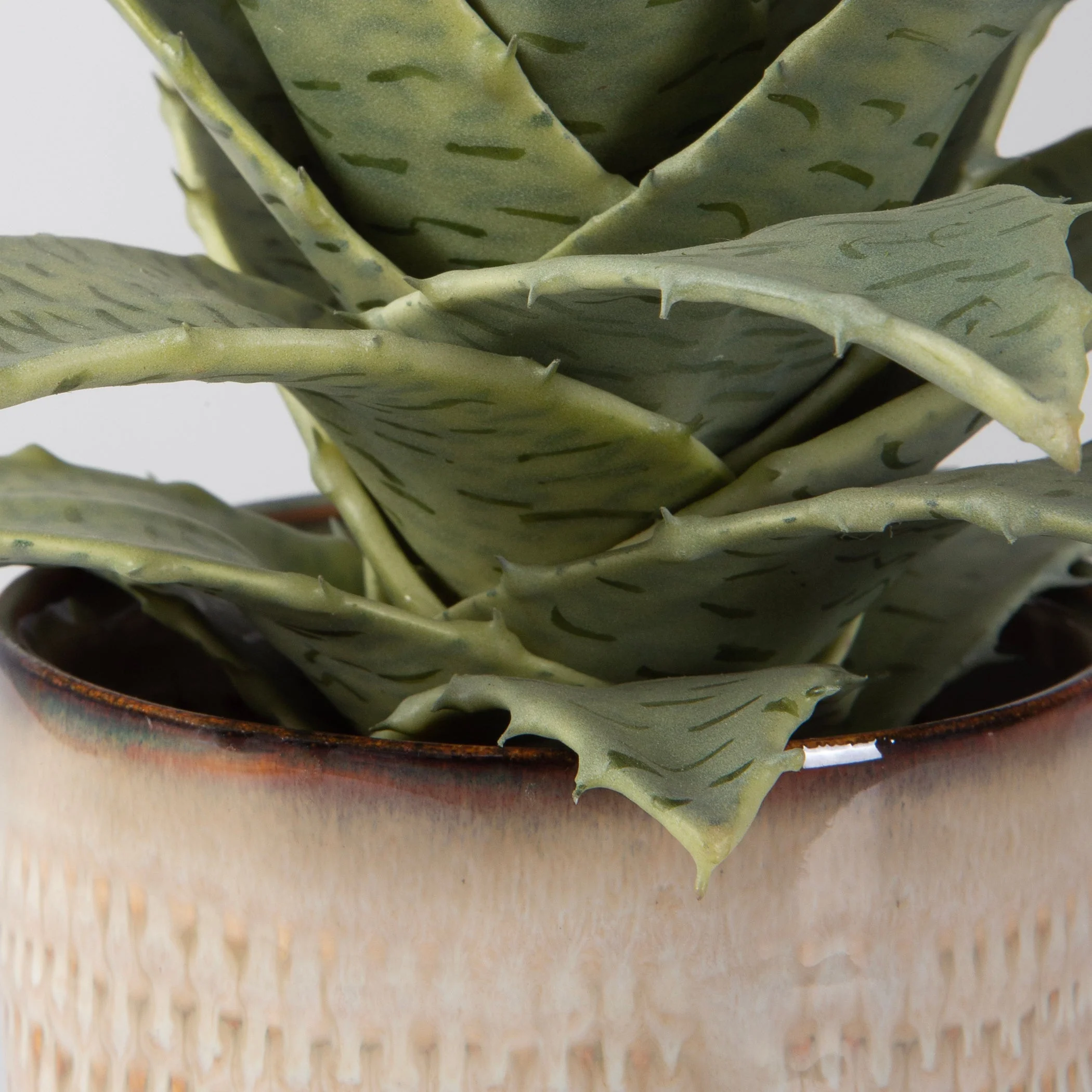 Uttermost Seaside Succulents, Set/2 - Image 4
