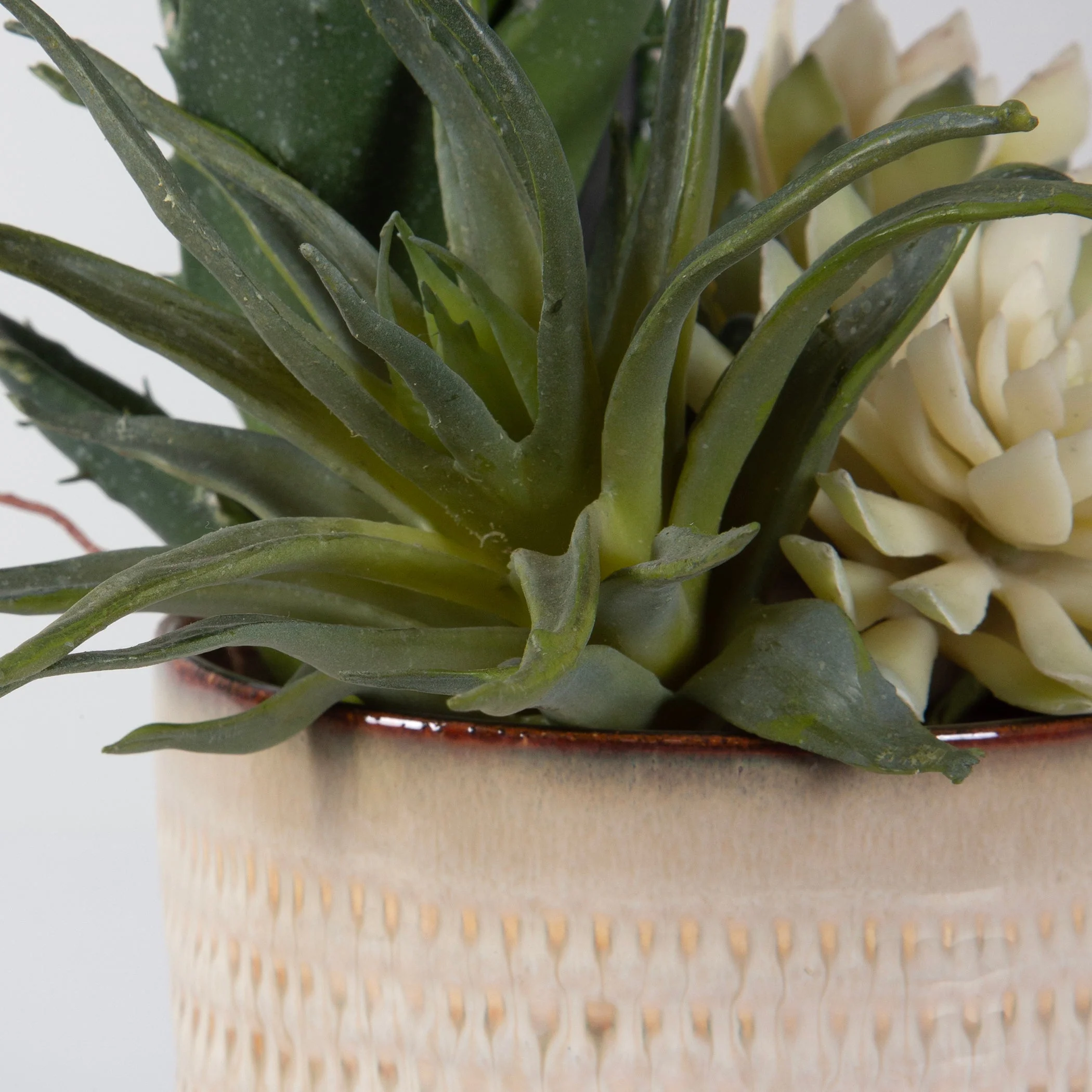 Uttermost Seaside Succulents, Set/2 - Image 5