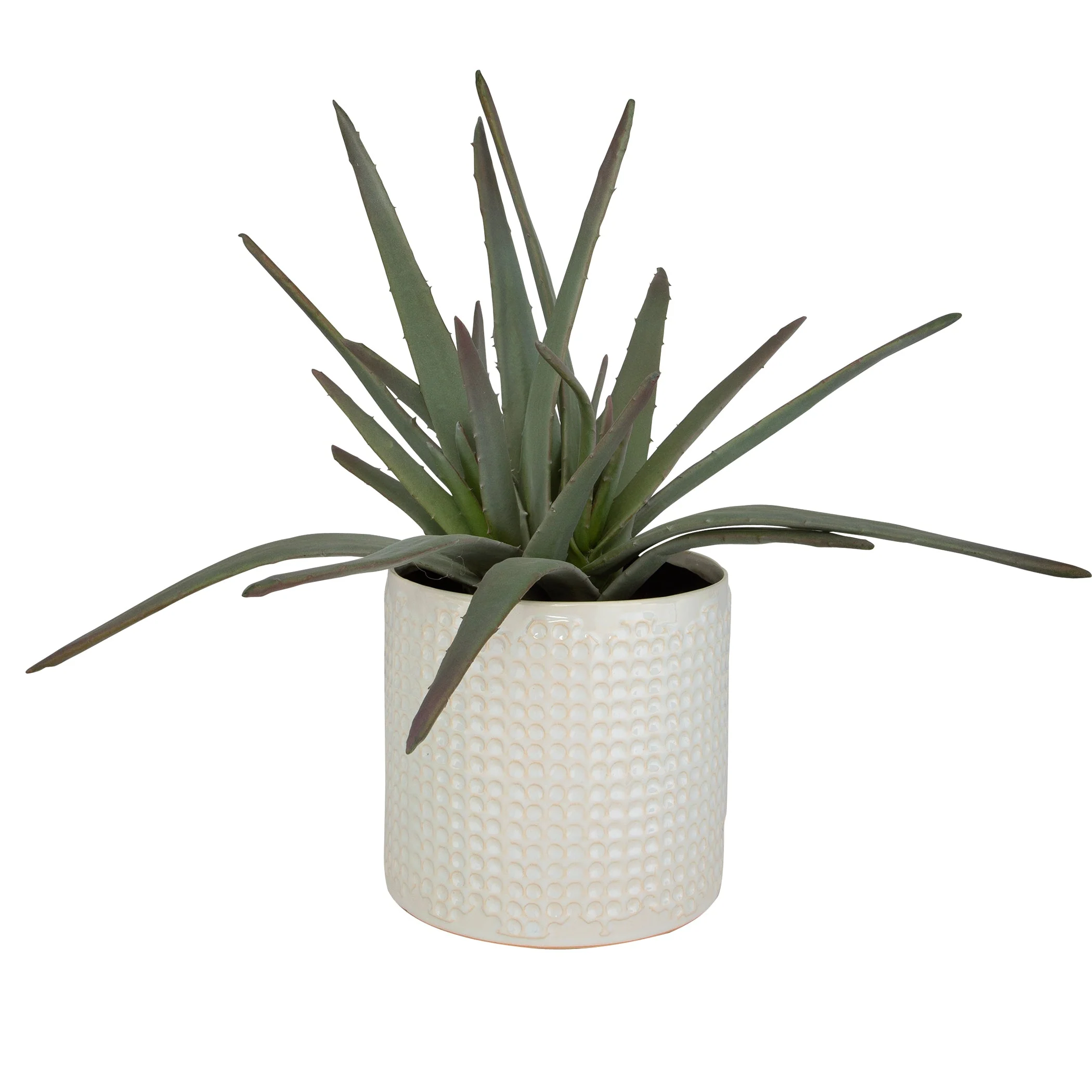 Uttermost Taos Aloe Centerpiece - Image 3