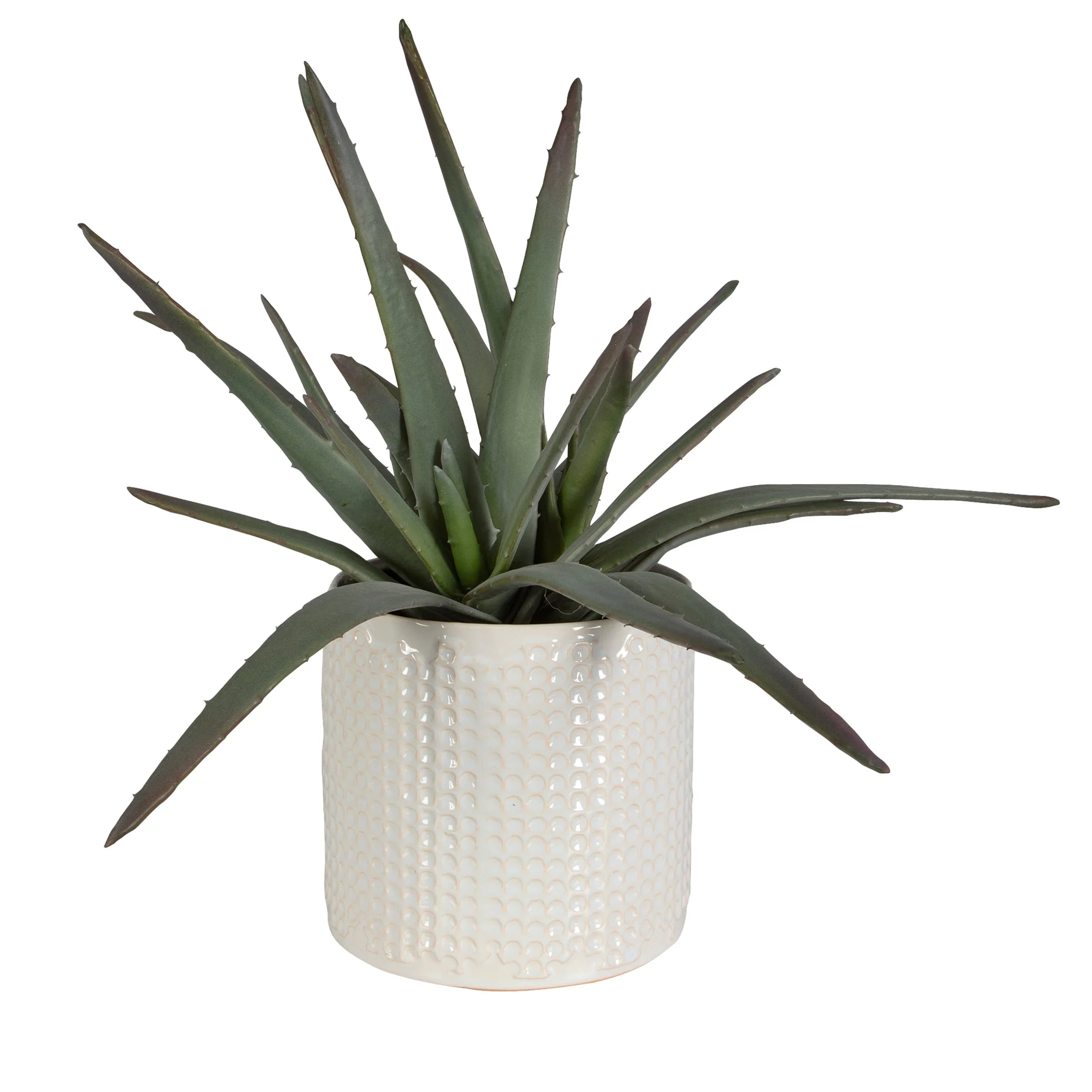 Uttermost Taos Aloe Centerpiece - Image 4