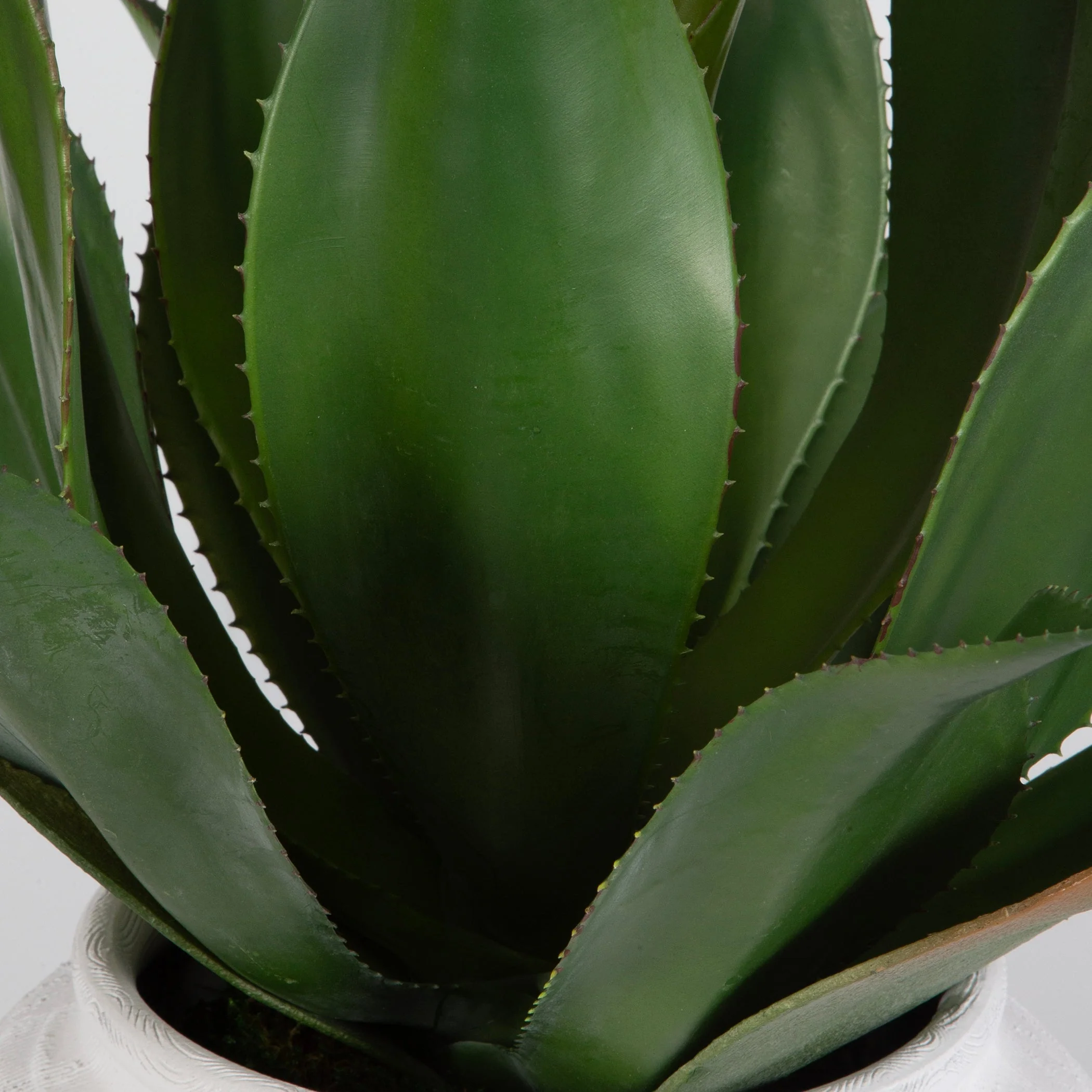 Uttermost Tierra Agave Centerpiece With Vase - Image 3