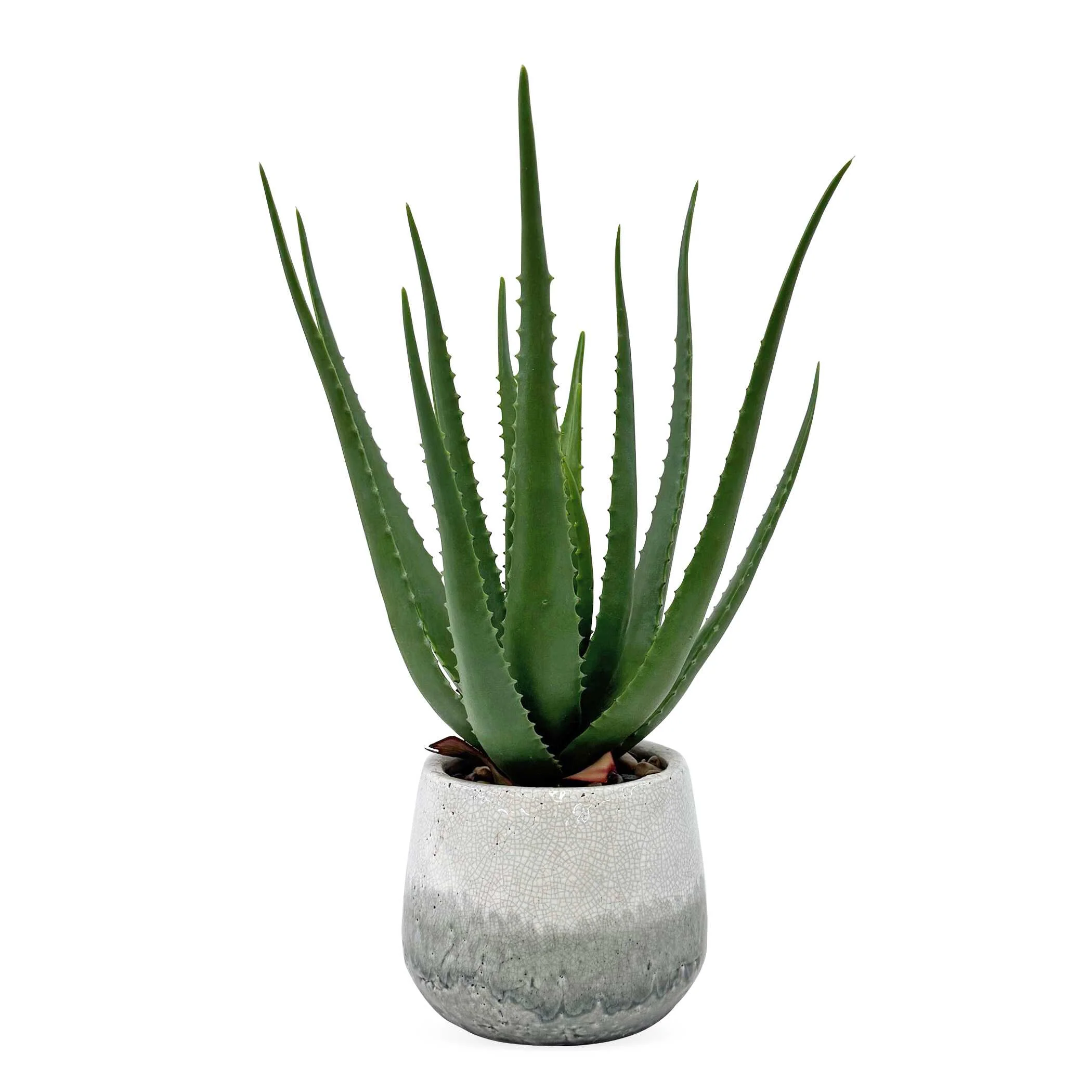 Uttermost Veranda Indoor-Outdoor Aloe Plant
