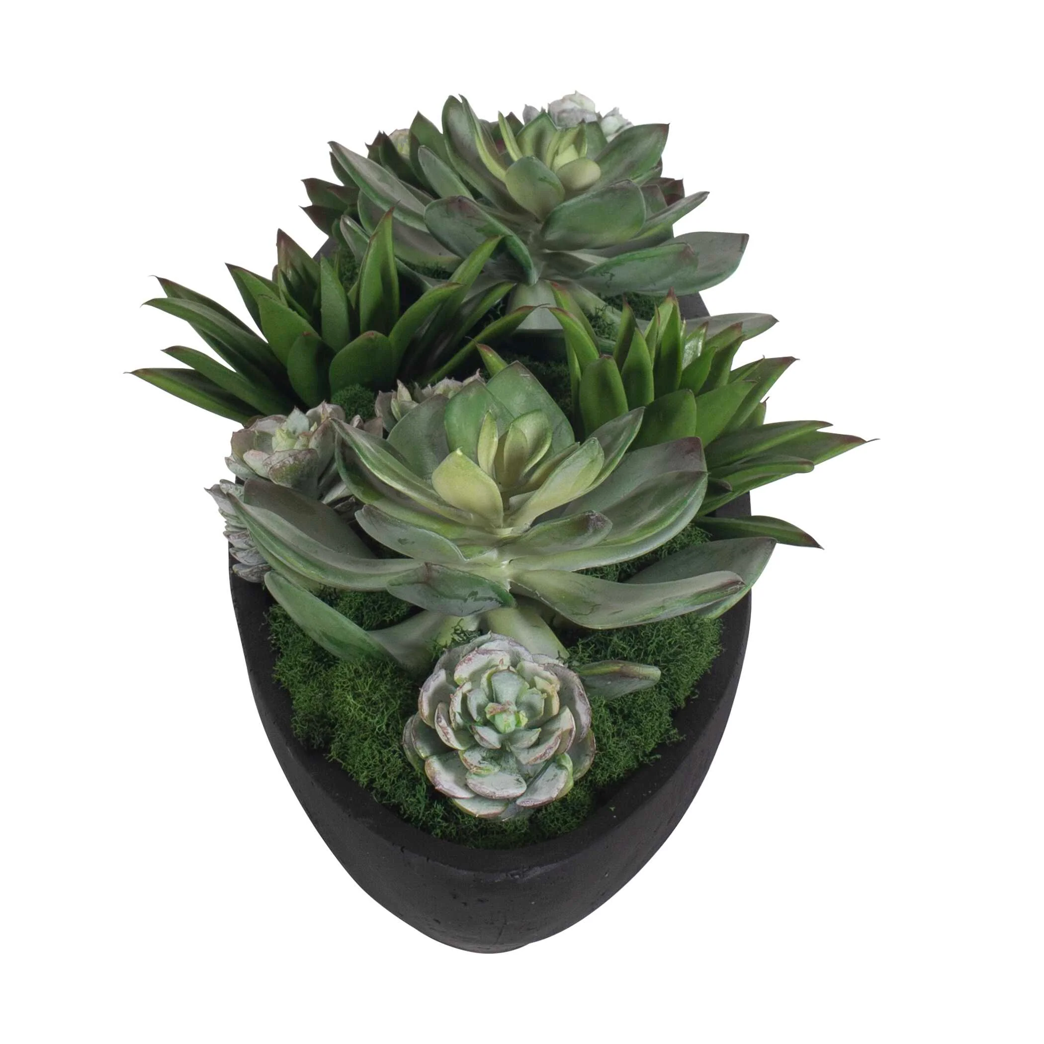 Uttermost Verde Succulent Centerpiece In Bowl - Image 5