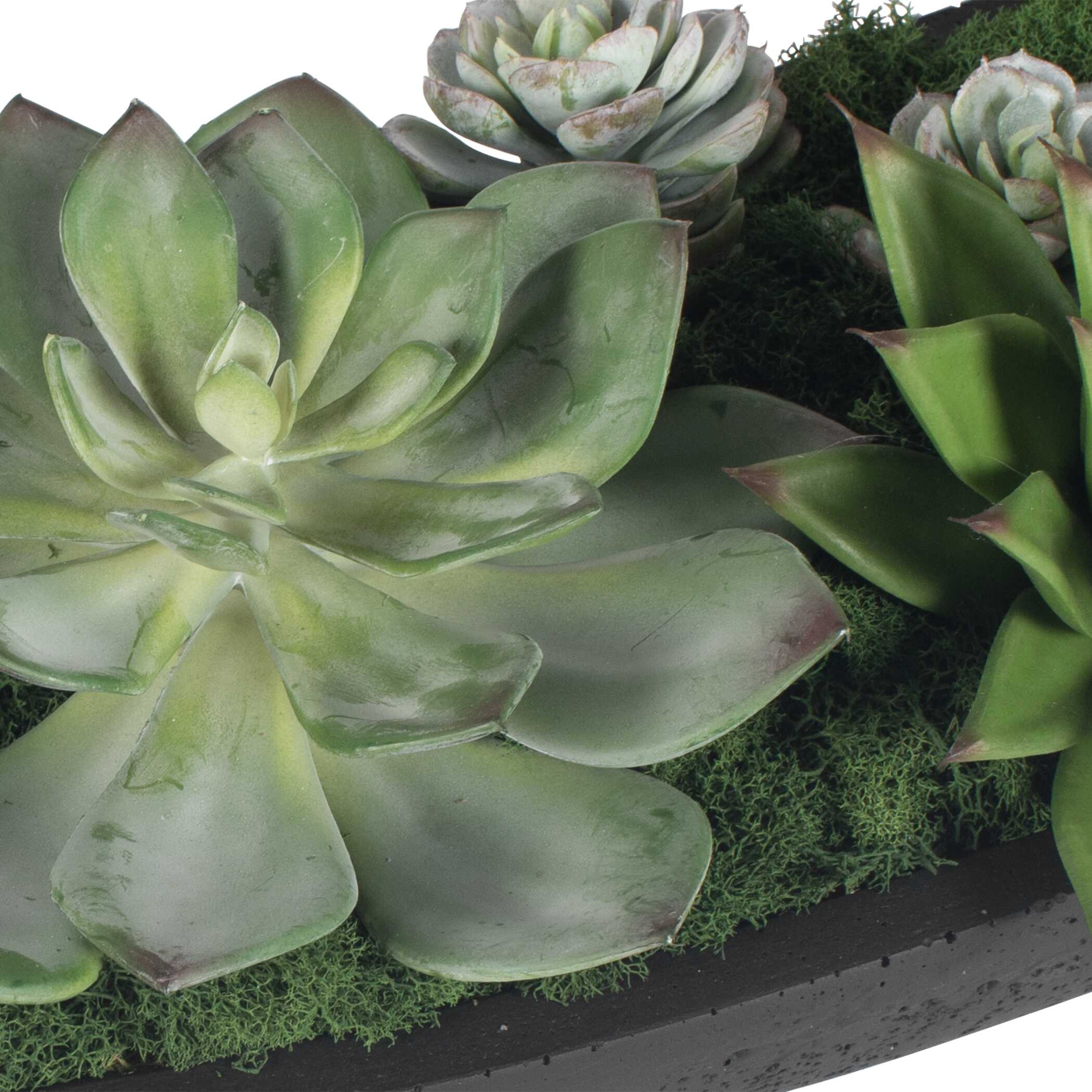 Uttermost Verde Succulent Centerpiece In Bowl - Image 7
