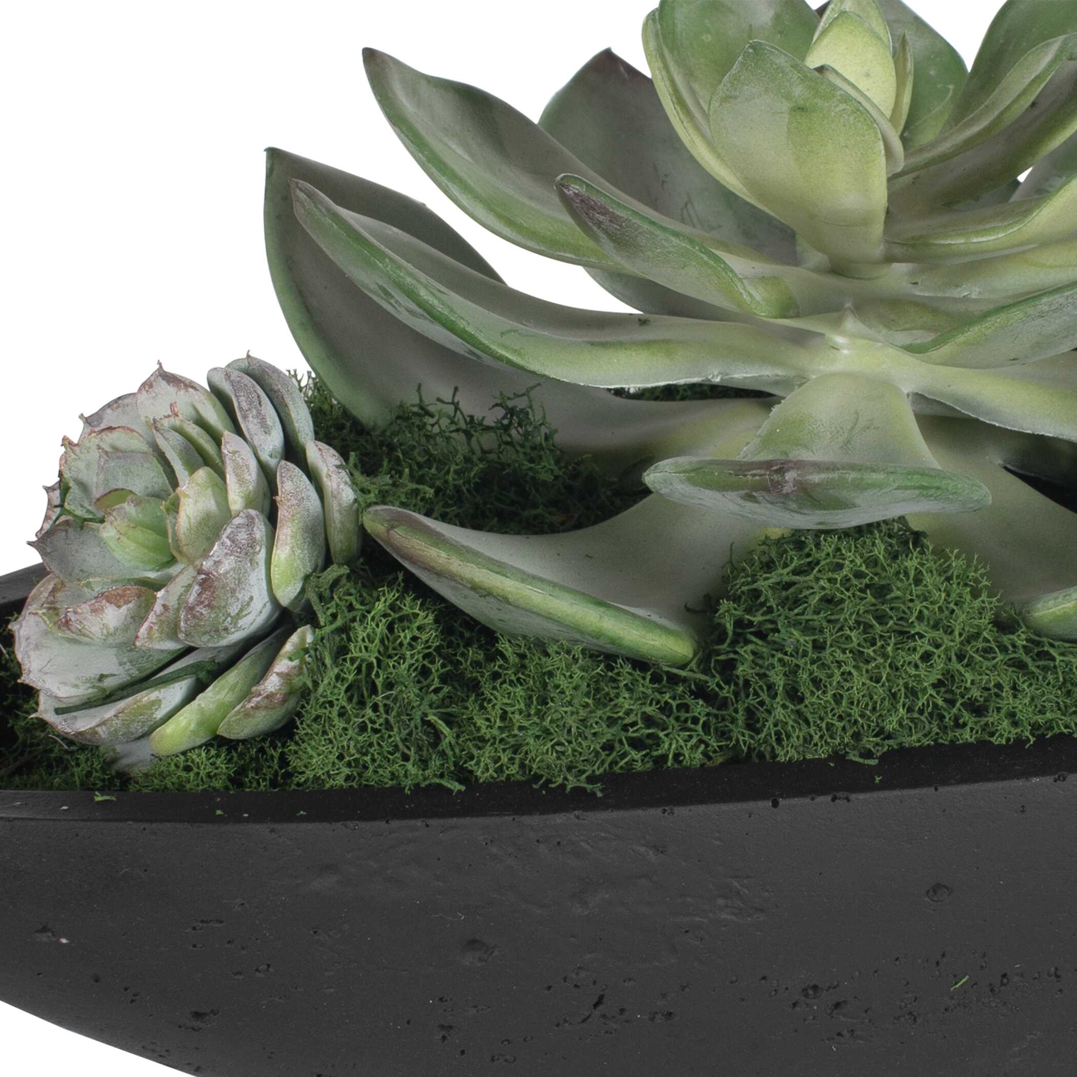 Uttermost Verde Succulent Centerpiece In Bowl - Image 8