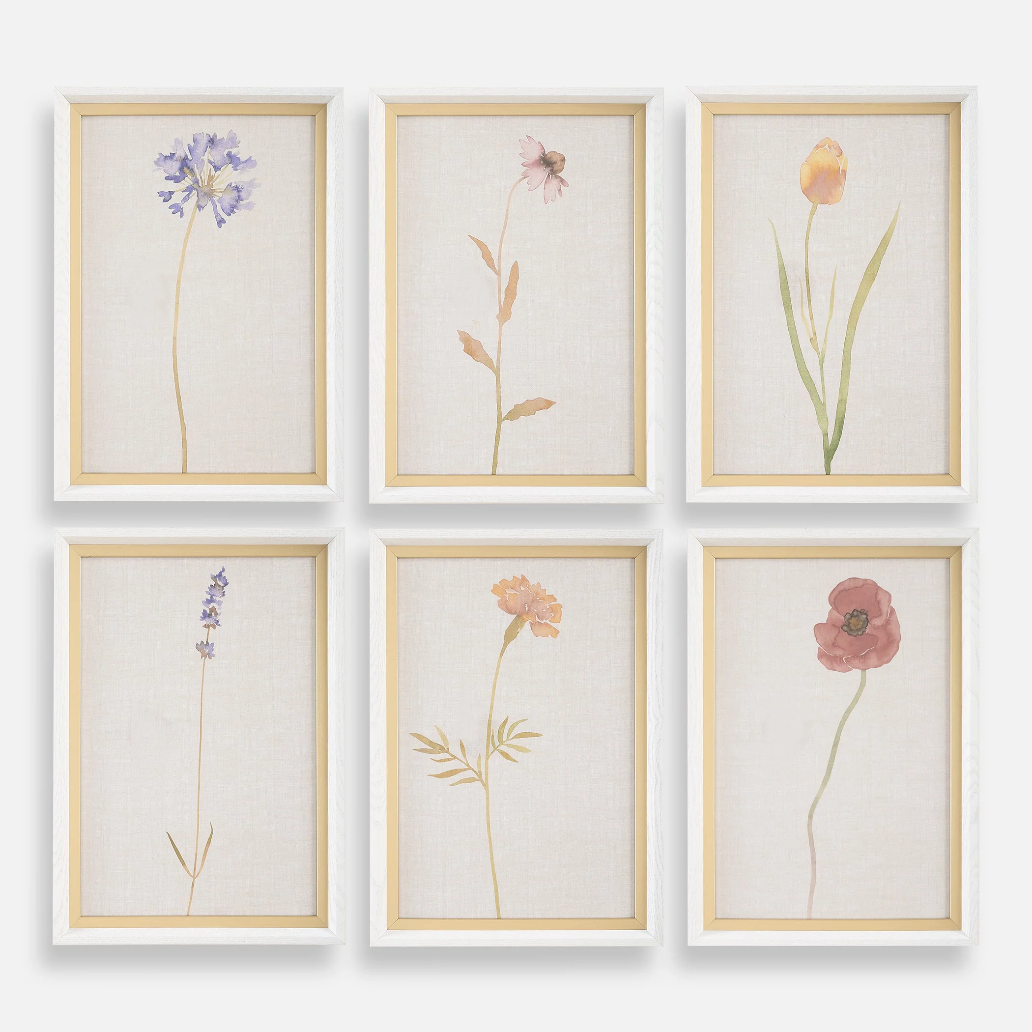 Uttermost Wild Flourish Framed Floral Prints Set/6