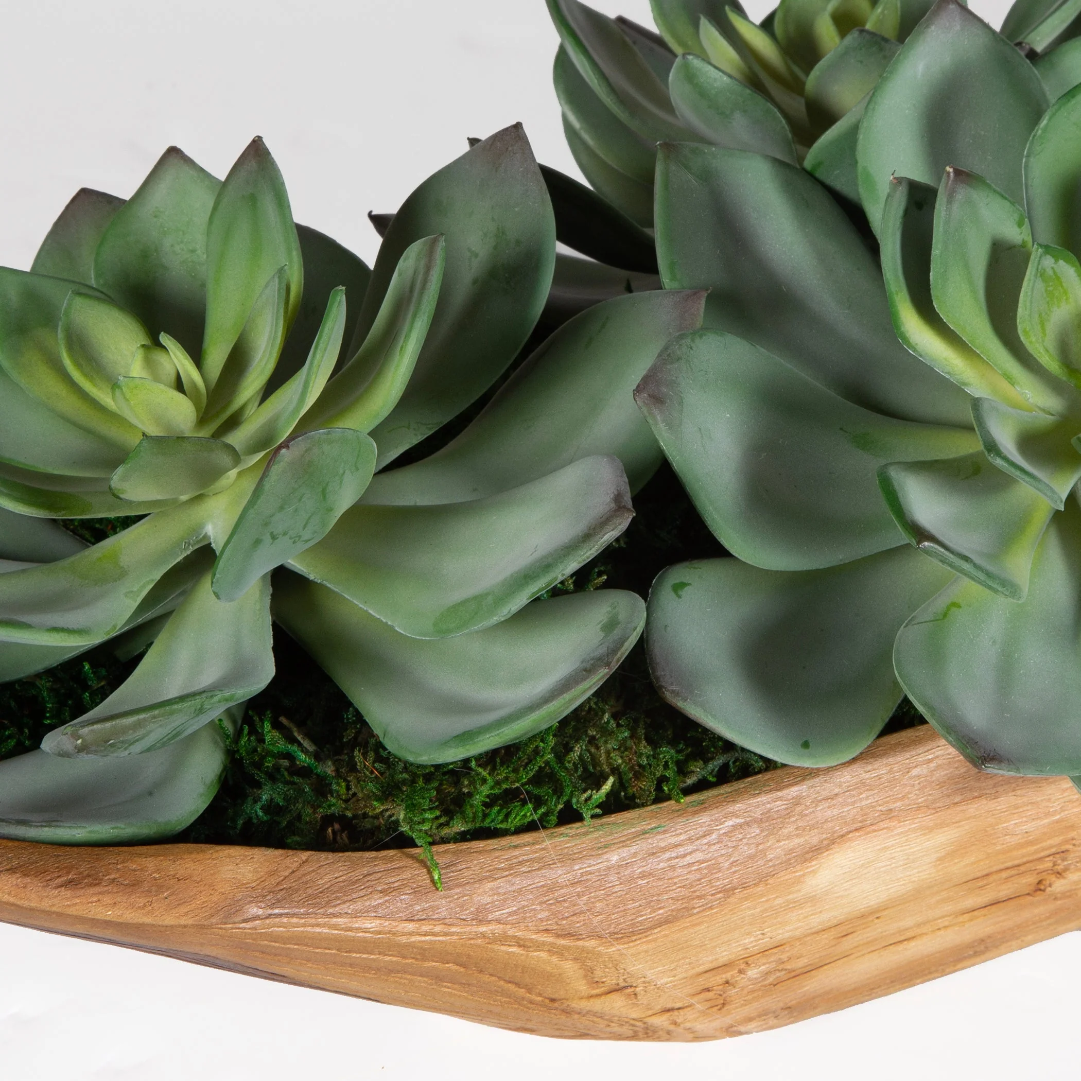 Uttermost Yuma Succulent Centerpiece - Image 10