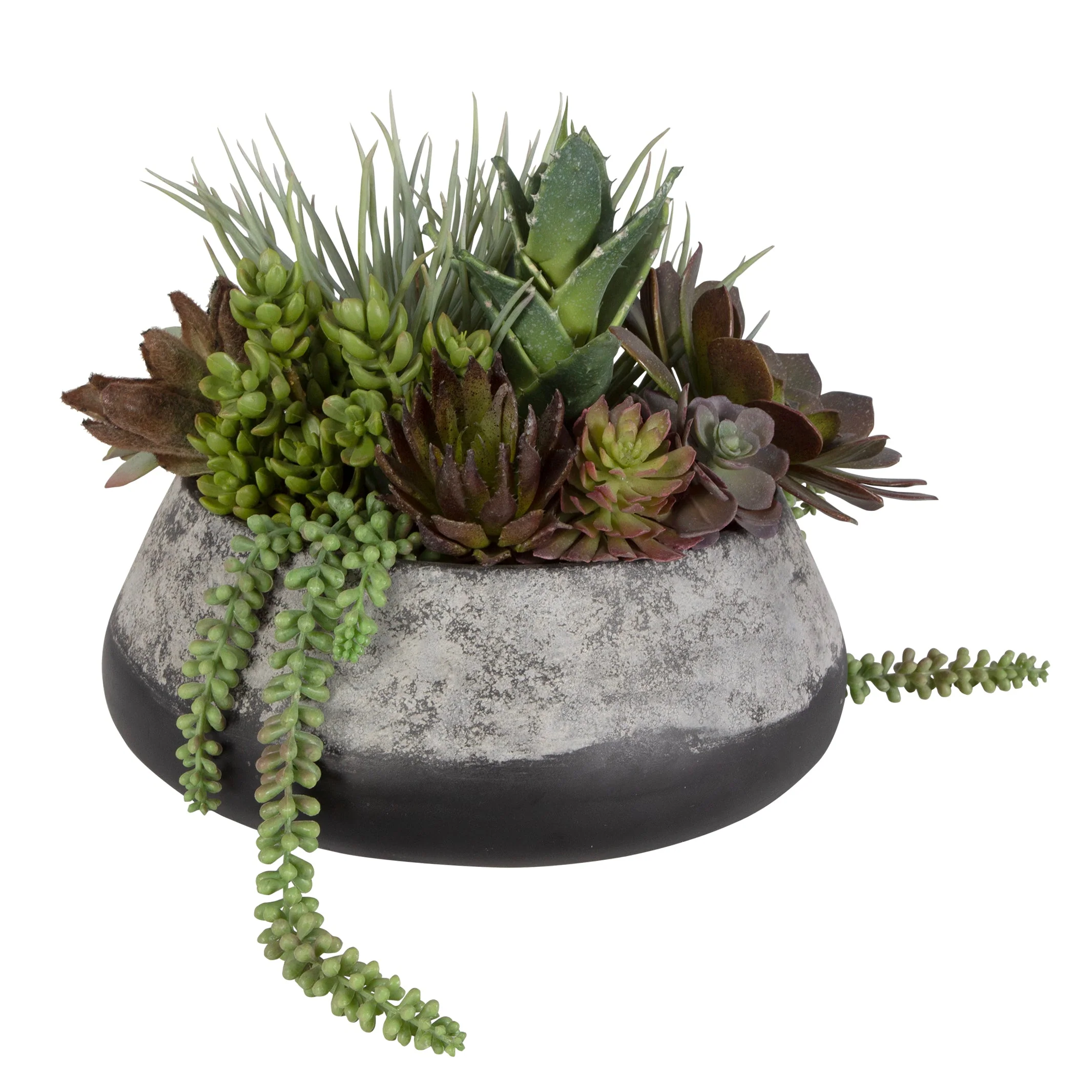Uttermost Yuma Succulent Centerpiece - Image 12