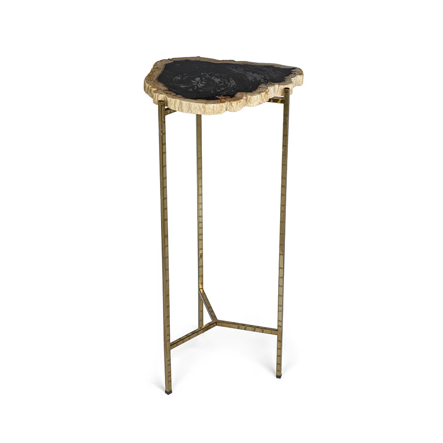 Porto Alegre Petrified Wood Side Table 25.5"